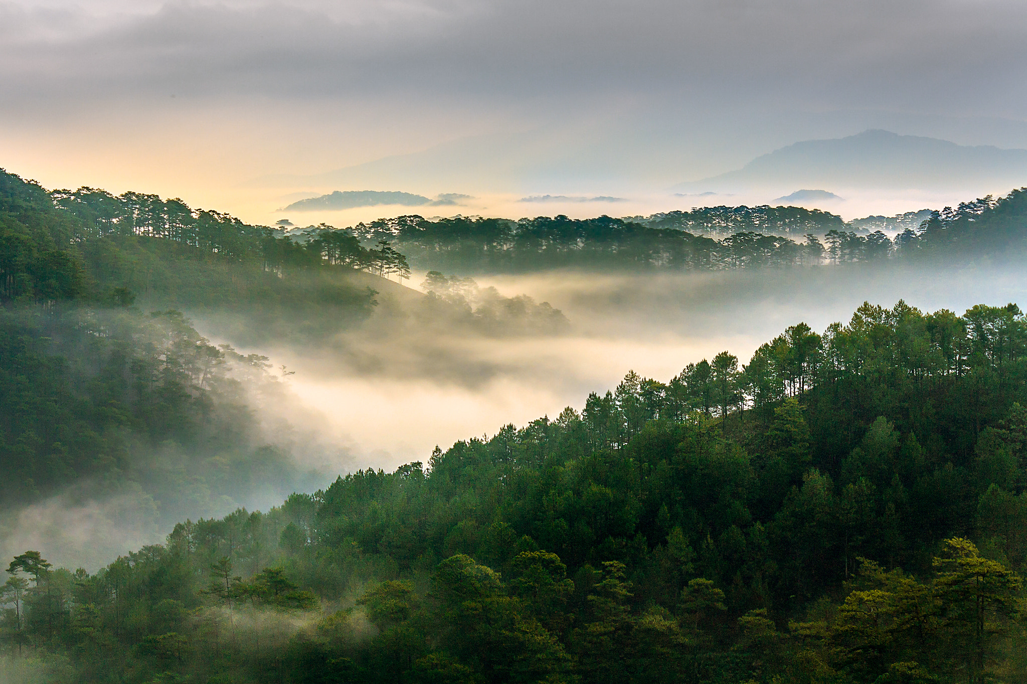 Canon EOS 450D (EOS Rebel XSi / EOS Kiss X2) sample photo. Dalat in morning fog photography