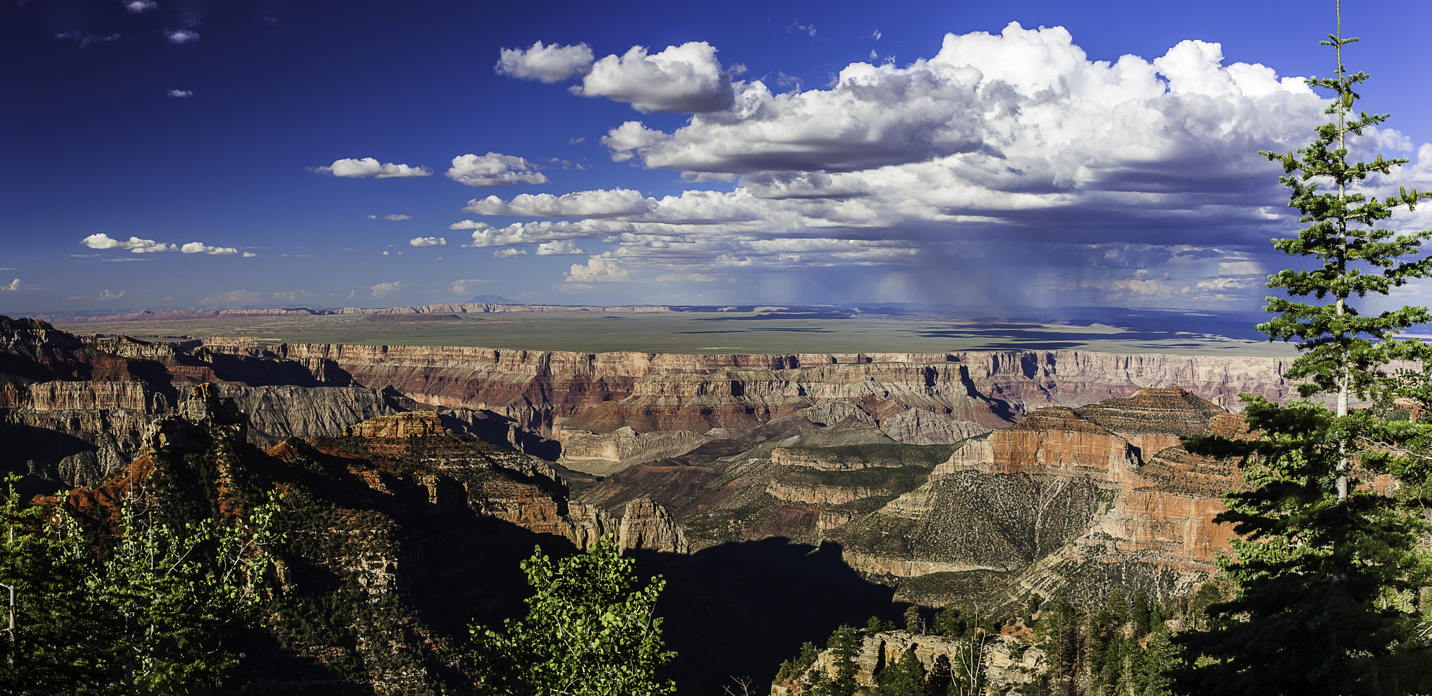 Canon EOS-1Ds Mark III sample photo. Grand canyon national park view photography