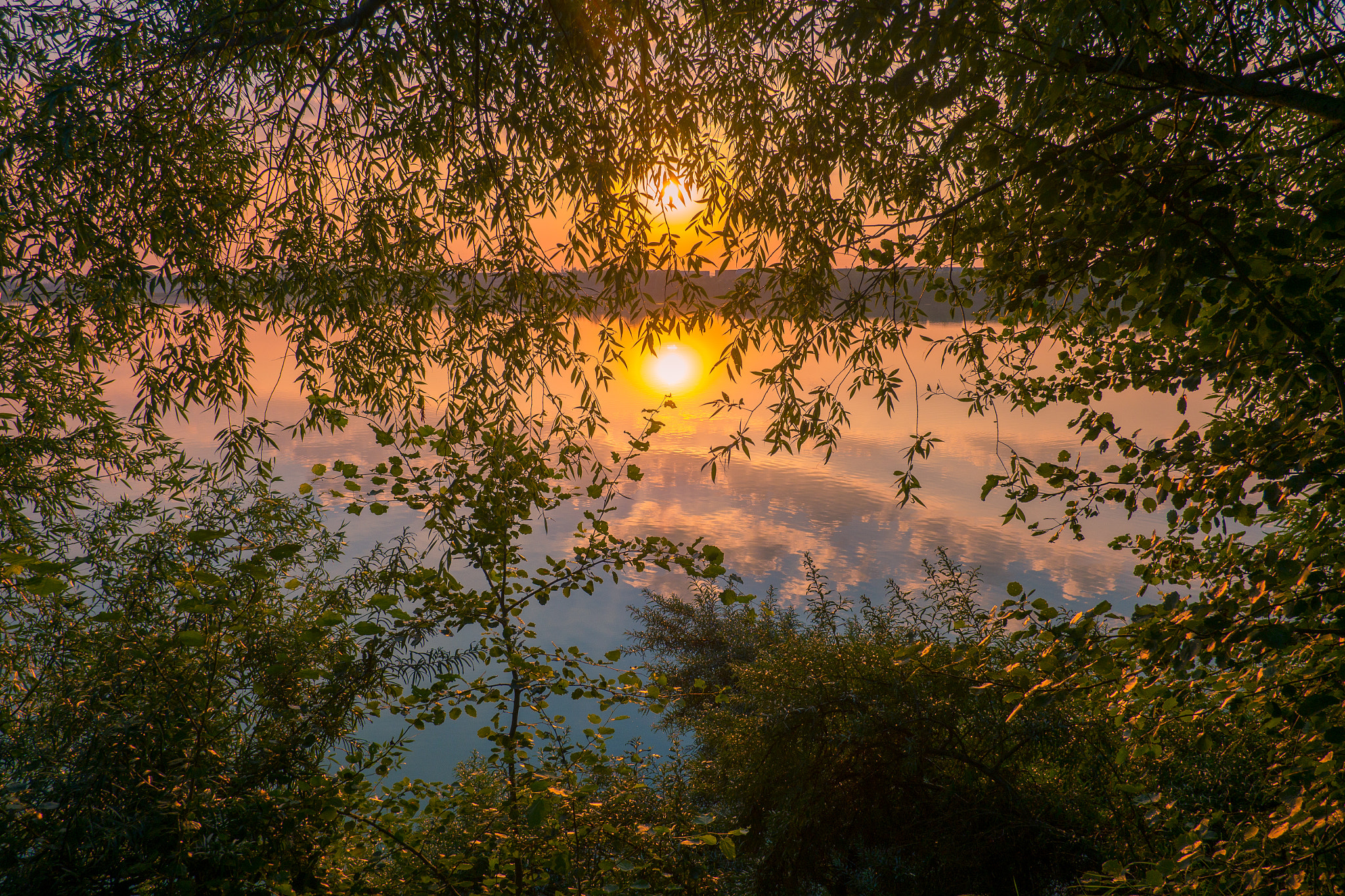 Fujifilm X-A1 + Fujifilm XF 18mm F2 R sample photo. Sunset through the branches photography