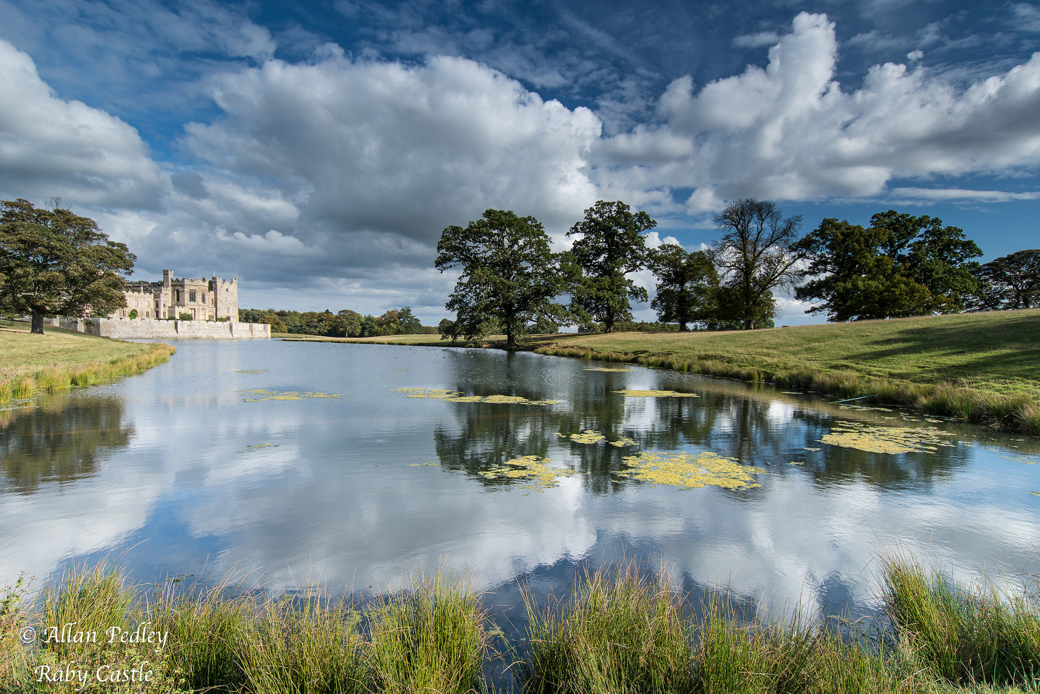 Sony ILCA-77M2 + Sigma 10-20mm F3.5 EX DC HSM sample photo. Raby castle photography