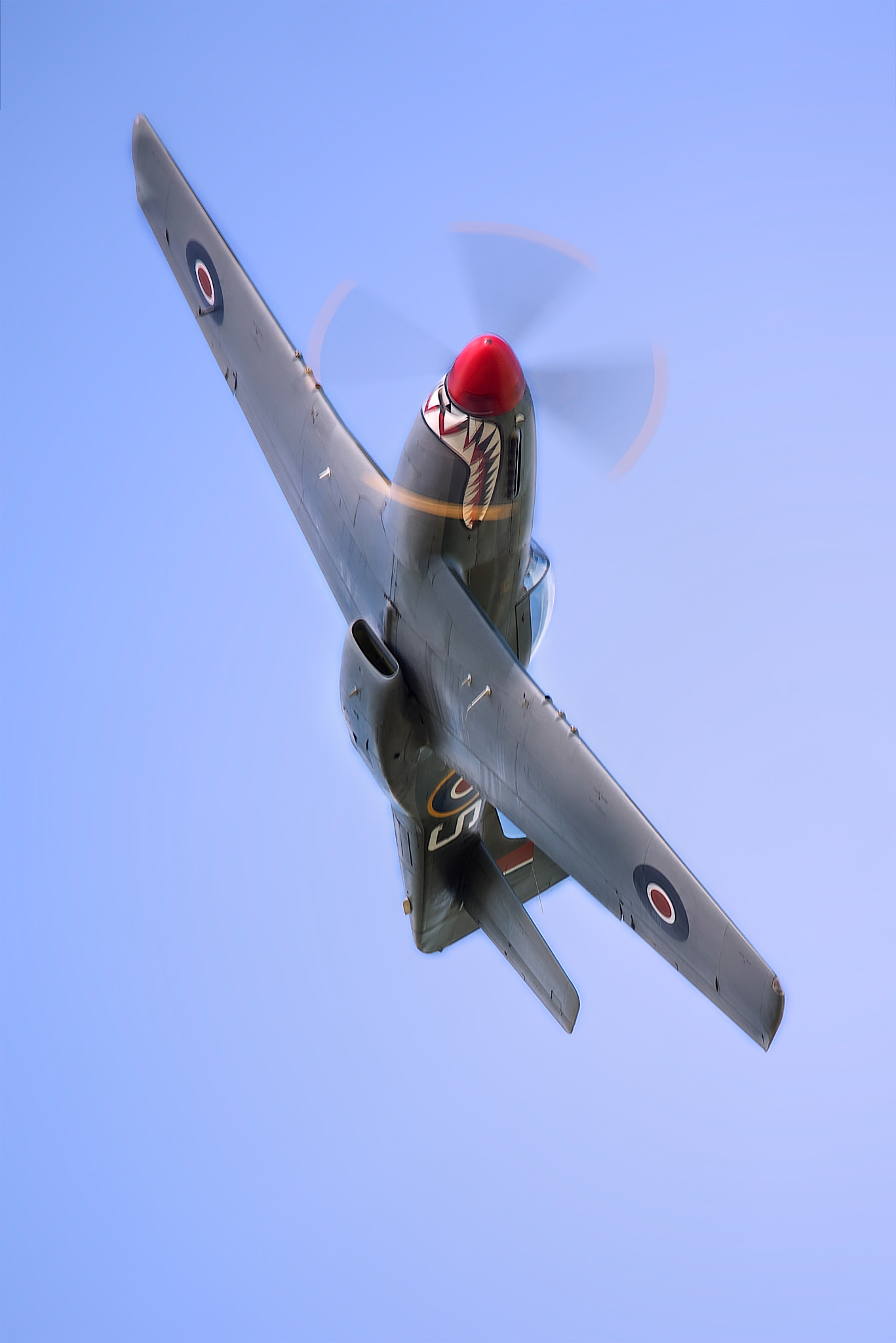 Sigma 150-600mm F5-6.3 DG OS HSM | C sample photo. P51 mustang sharp turn photography