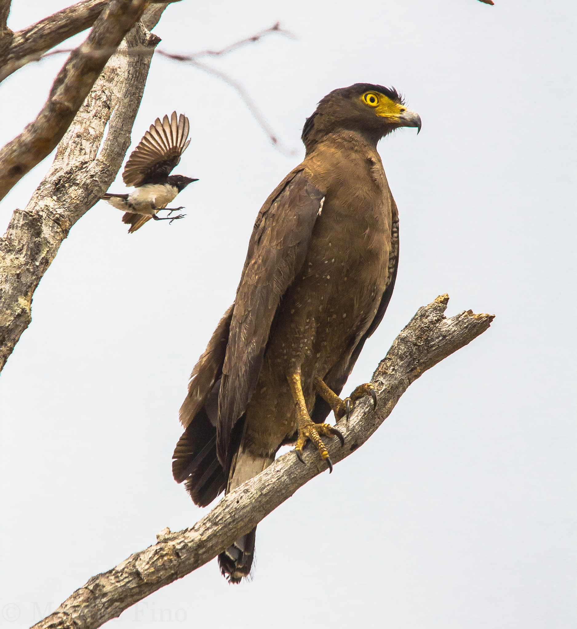 Sigma 150-500mm F5-6.3 DG OS HSM sample photo