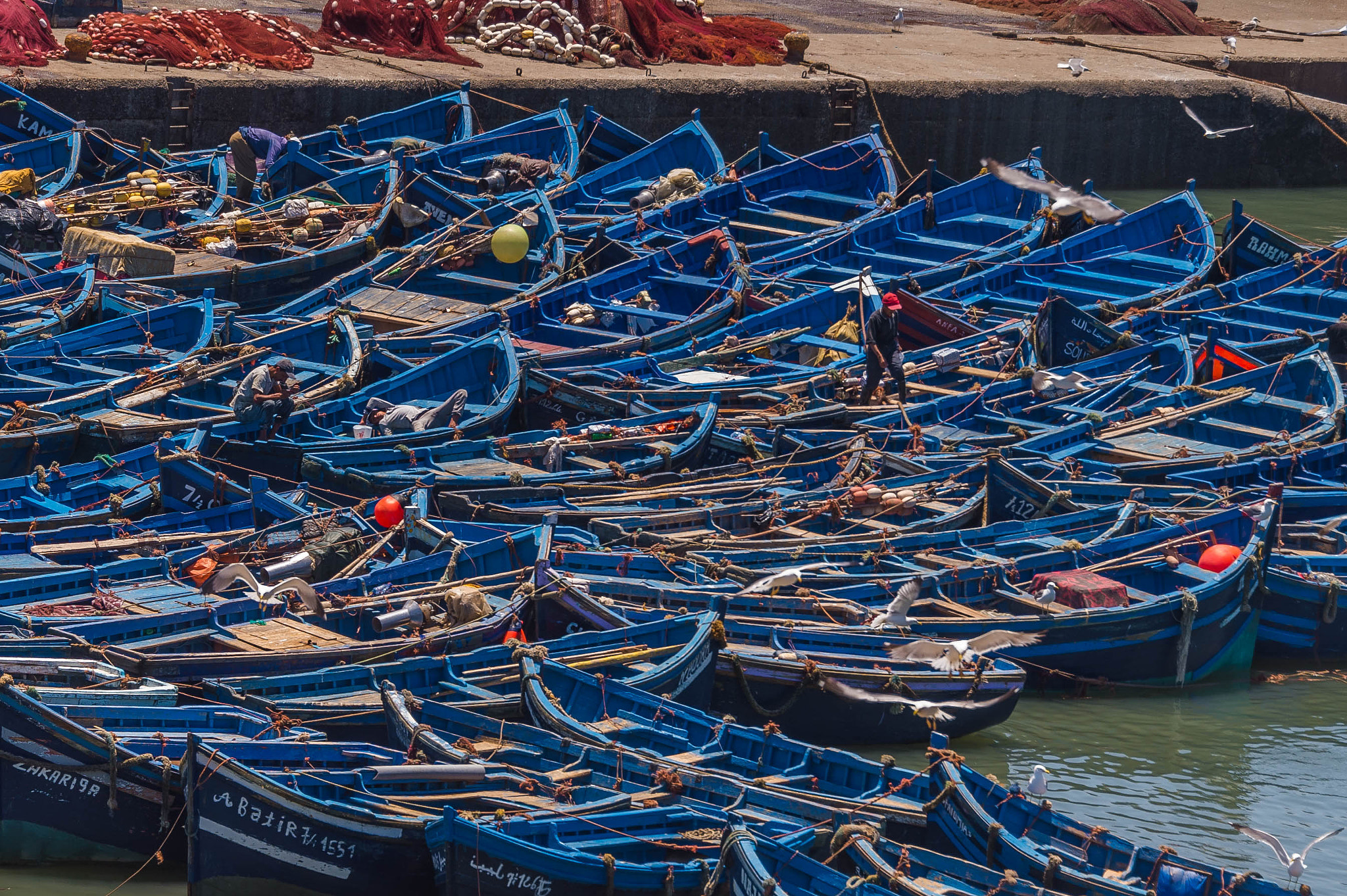 Nikon D4S sample photo. Port essaouira photography