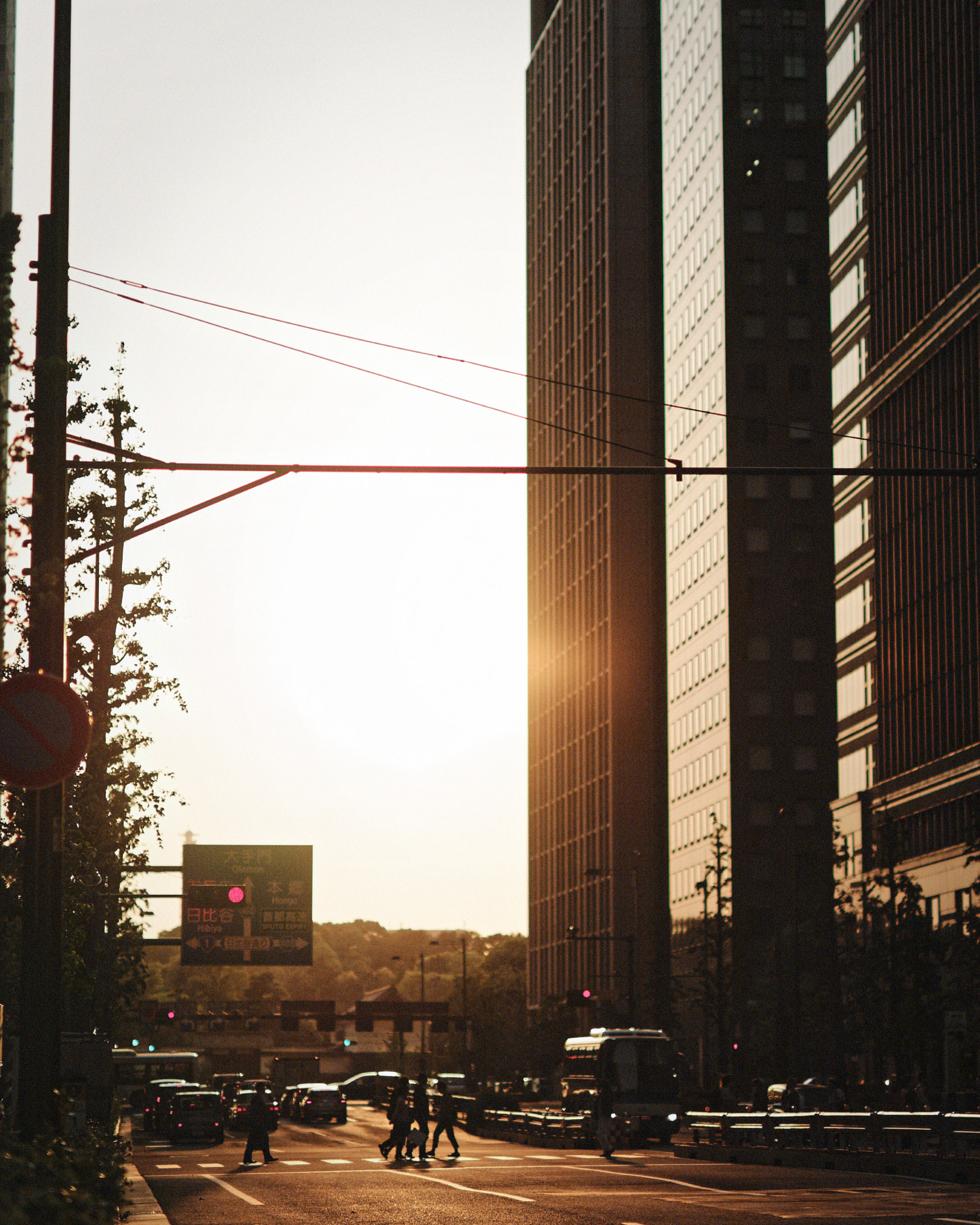 Sony Planar T* 85mm F1.4 ZA sample photo. Gold photography