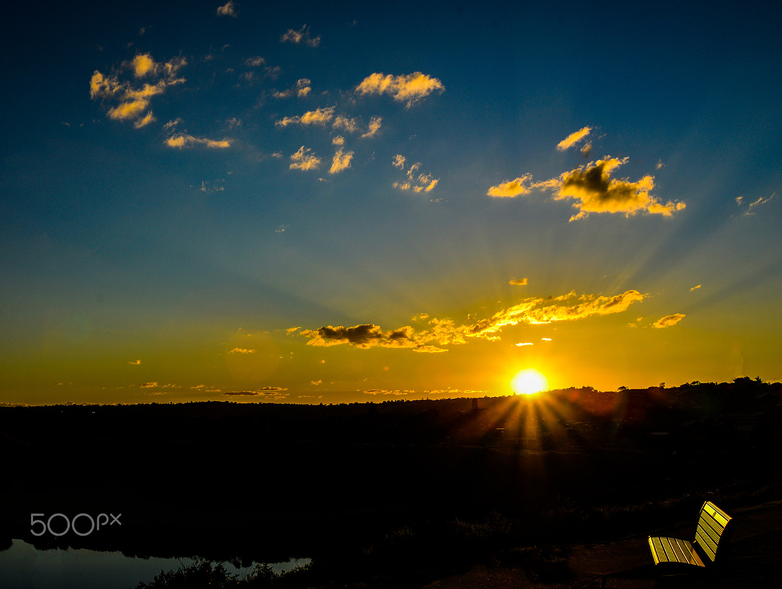 Nikon D600 sample photo. Good morning to you too photography
