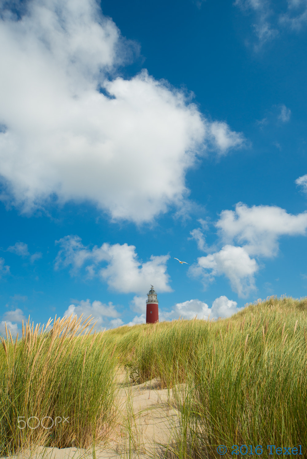 Sigma 12-24mm F4.5-5.6 EX DG Aspherical HSM sample photo. Lighthouse photography