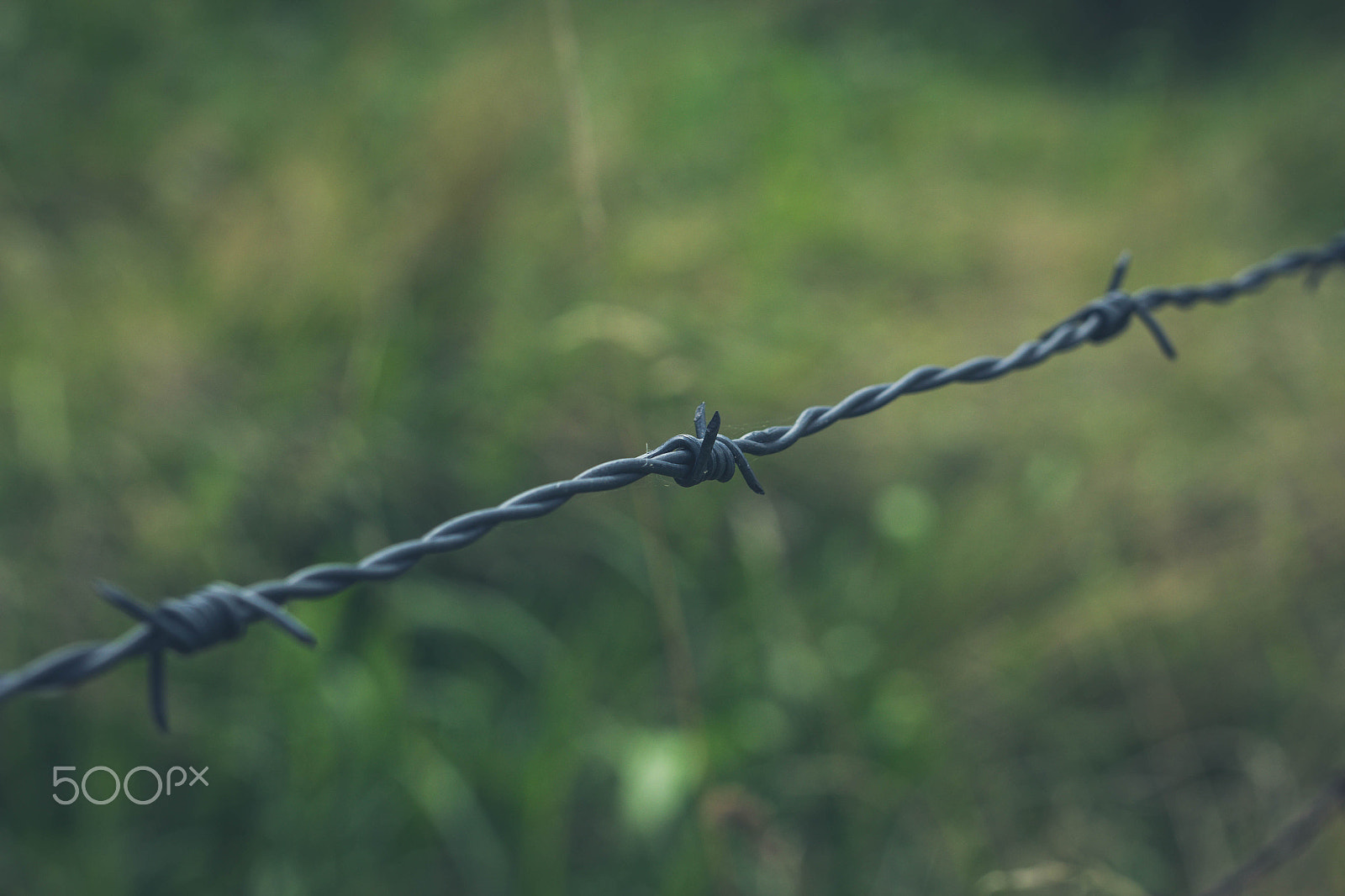 Sigma 50mm F1.4 EX DG HSM sample photo. Wire. photography