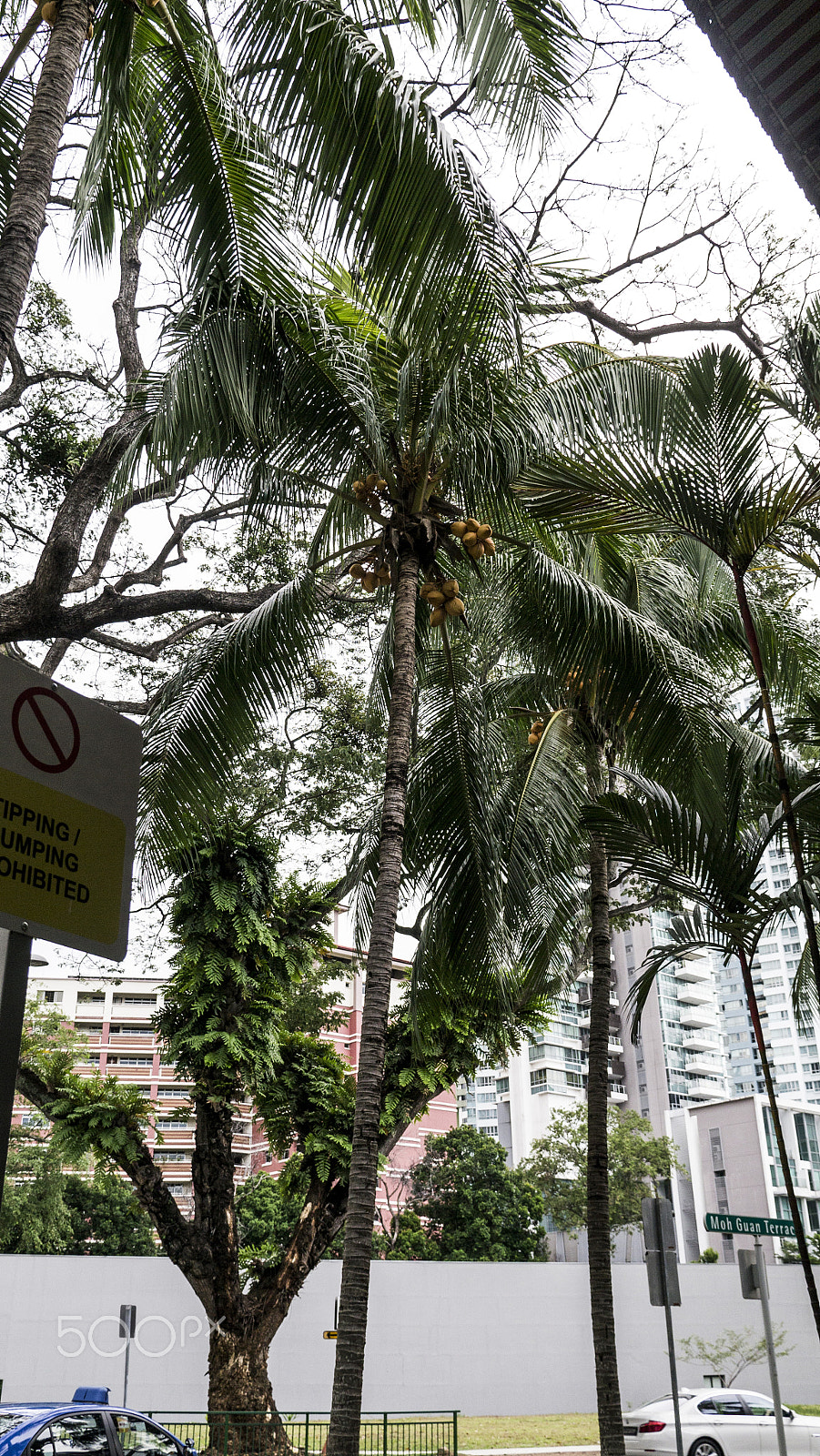 Panasonic Lumix DMC-GX1 sample photo. Tiong bahru estate photography