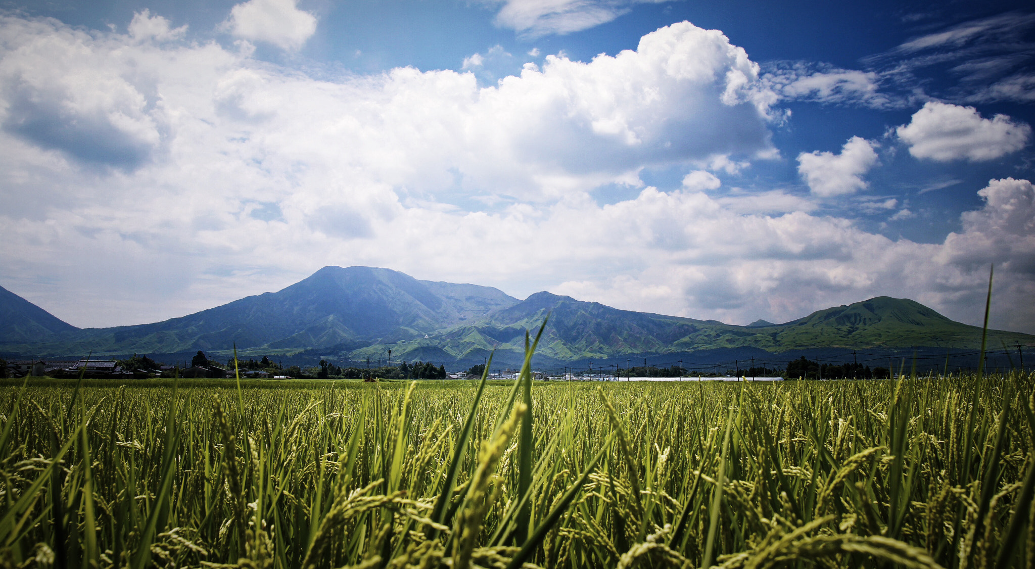 Canon 17-50mm sample photo. Aso country side photography