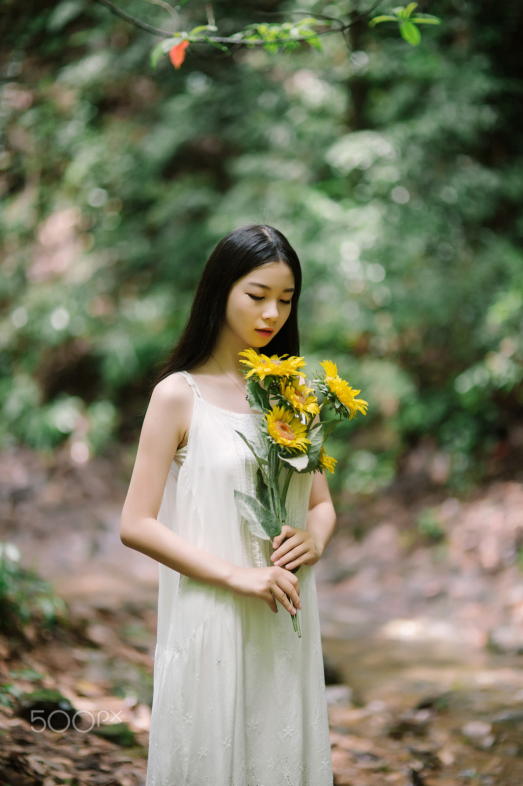Nikon D4 + Sigma 85mm F1.4 EX DG HSM sample photo. 捧向日葵的女孩 photography