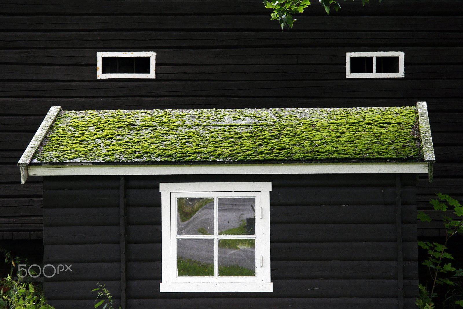 Canon EF-S 17-85mm F4-5.6 IS USM sample photo. Norge's eyes photography