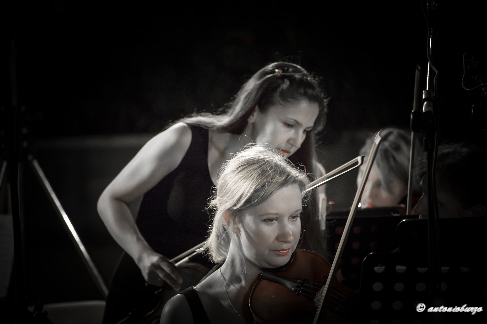 Canon EF-S 55-250mm F4-5.6 IS STM sample photo. Violin photography