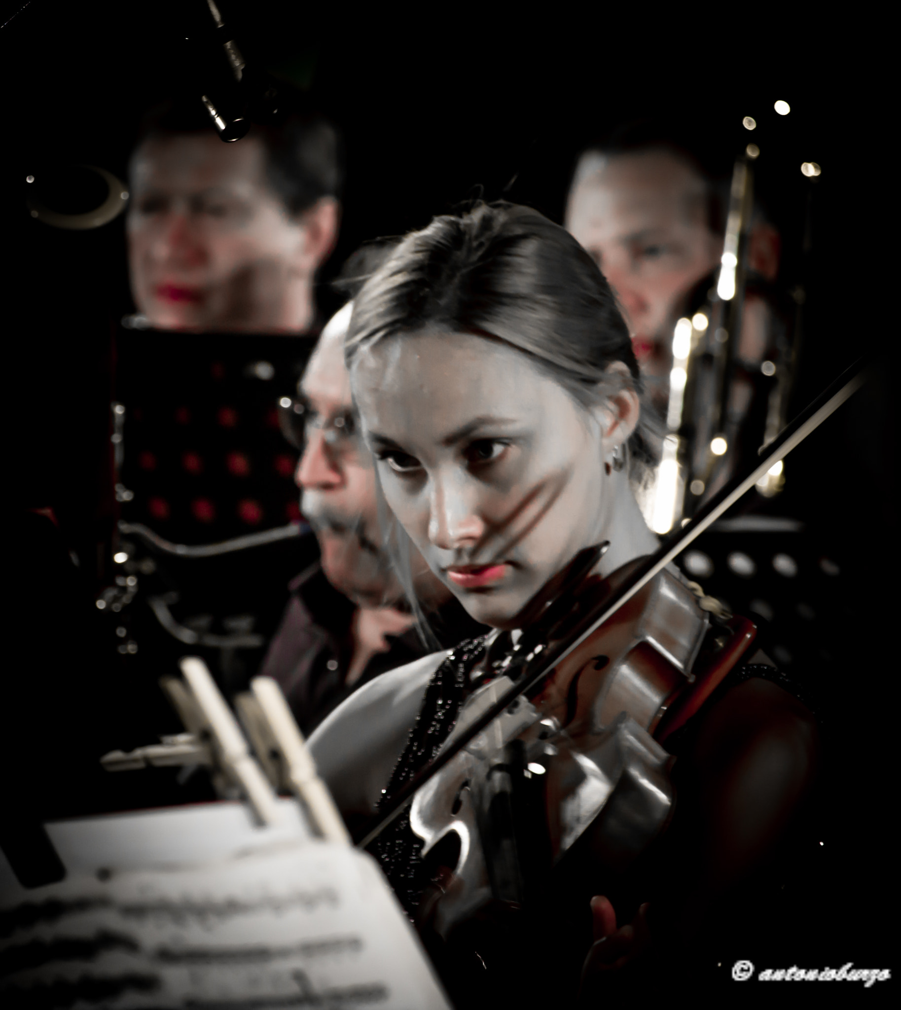 Canon EF-S 55-250mm F4-5.6 IS STM sample photo. Violin photography