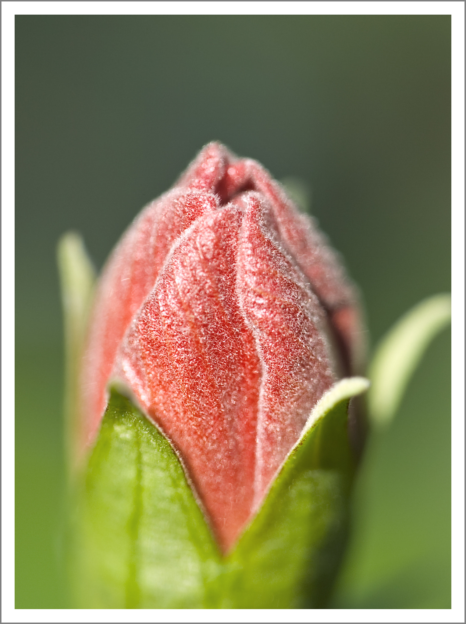 Nikon D2Hs sample photo
