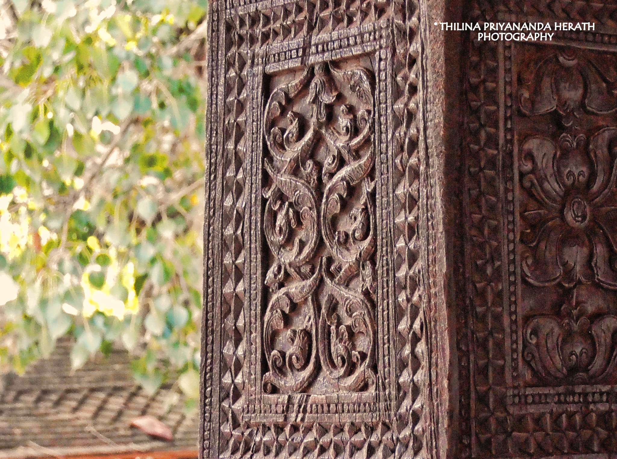 Olympus VR325,VR320,D725 sample photo. © thilina priyananda herath photography photography