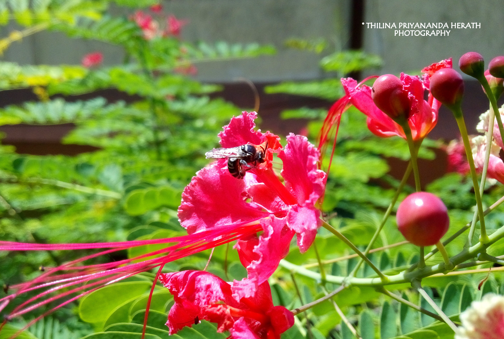 HUAWEI Honor3 sample photo. Aa photography