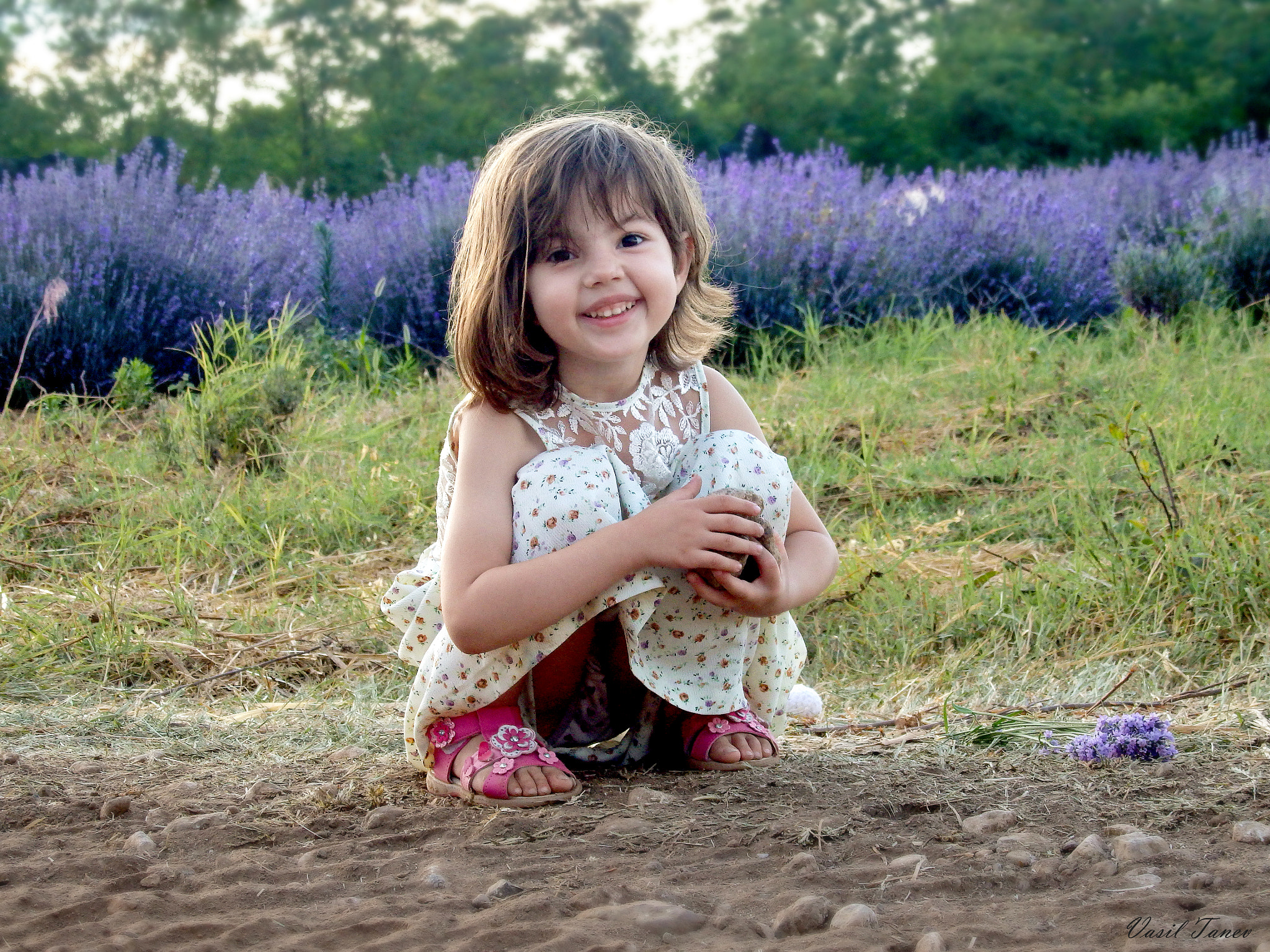 Olympus SH-60 sample photo. Dara photography