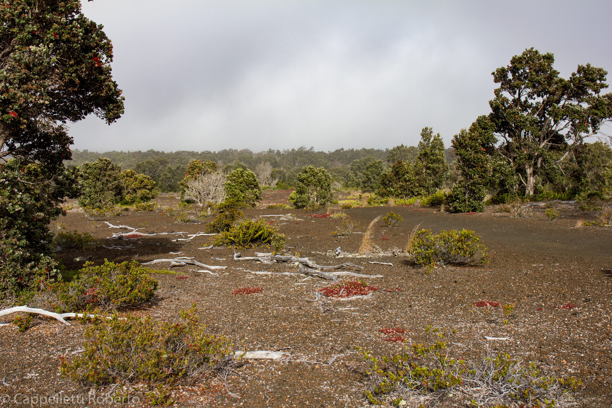 Canon EF 24-70mm F4L IS USM sample photo. Craters landscapes photography