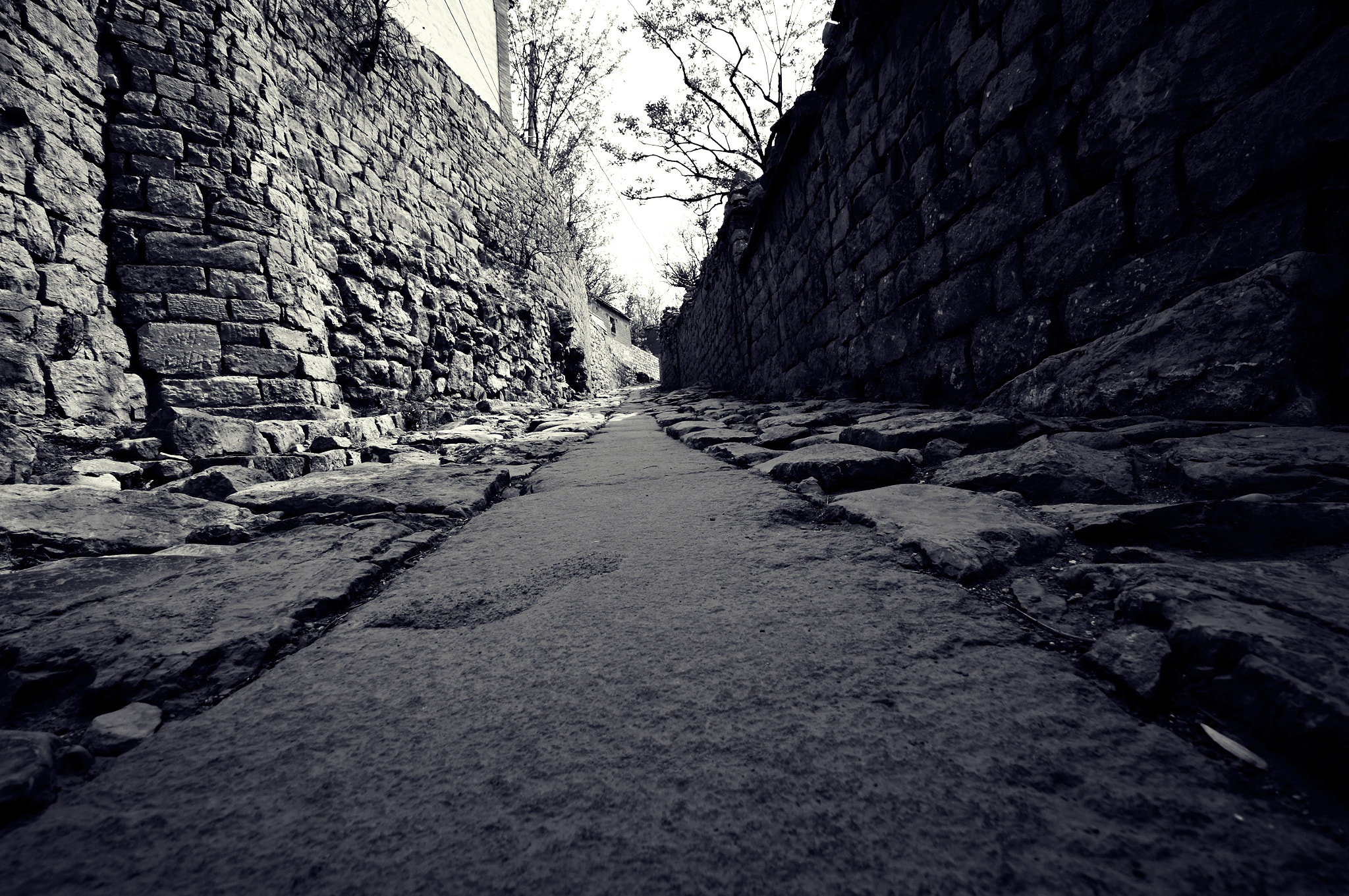 Sony SLT-A55 (SLT-A55V) sample photo. Old castel in zhujiayu photography