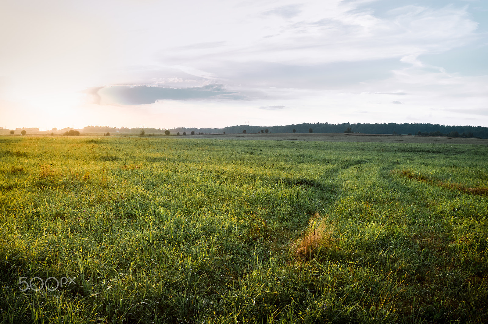 Sony SLT-A37 + Sony DT 35mm F1.8 SAM sample photo. Meadow during the dusk photography