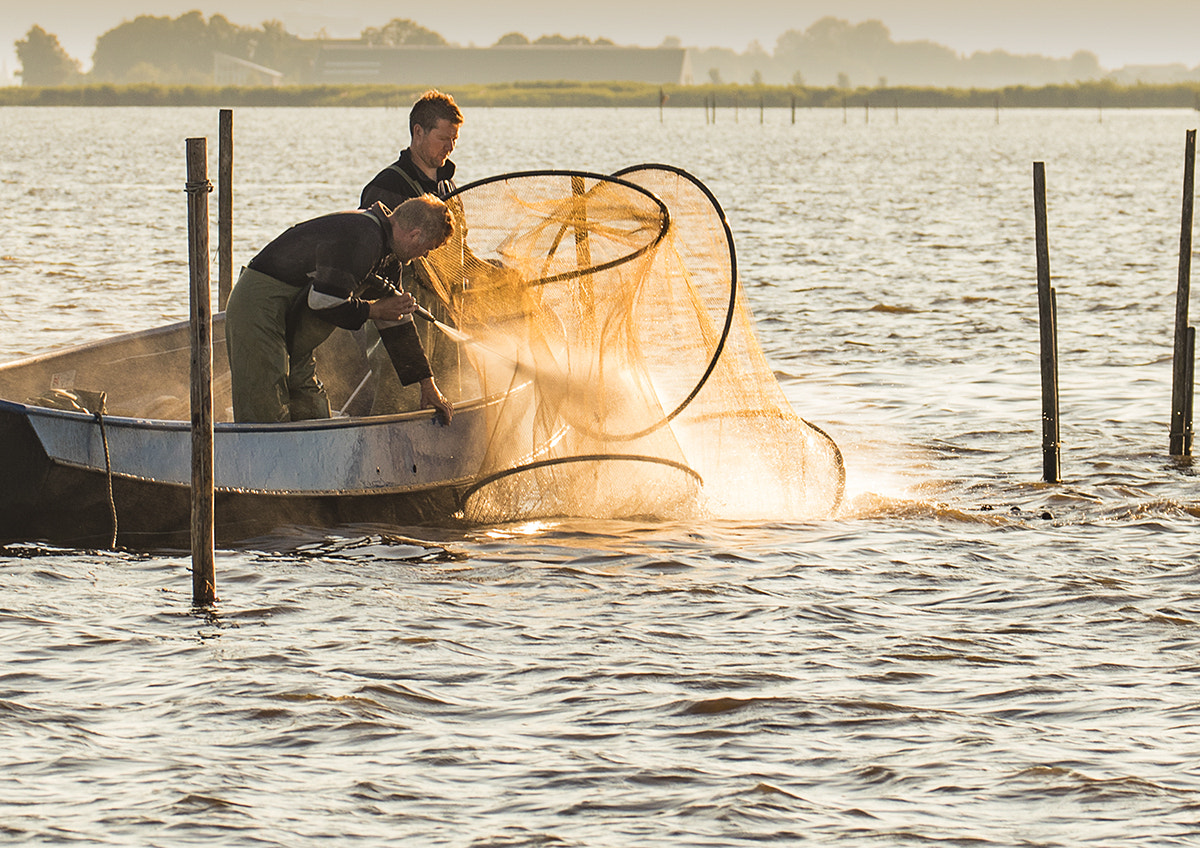 Canon EF 70-300mm F4-5.6L IS USM sample photo. Two fisherman cleaning net photography