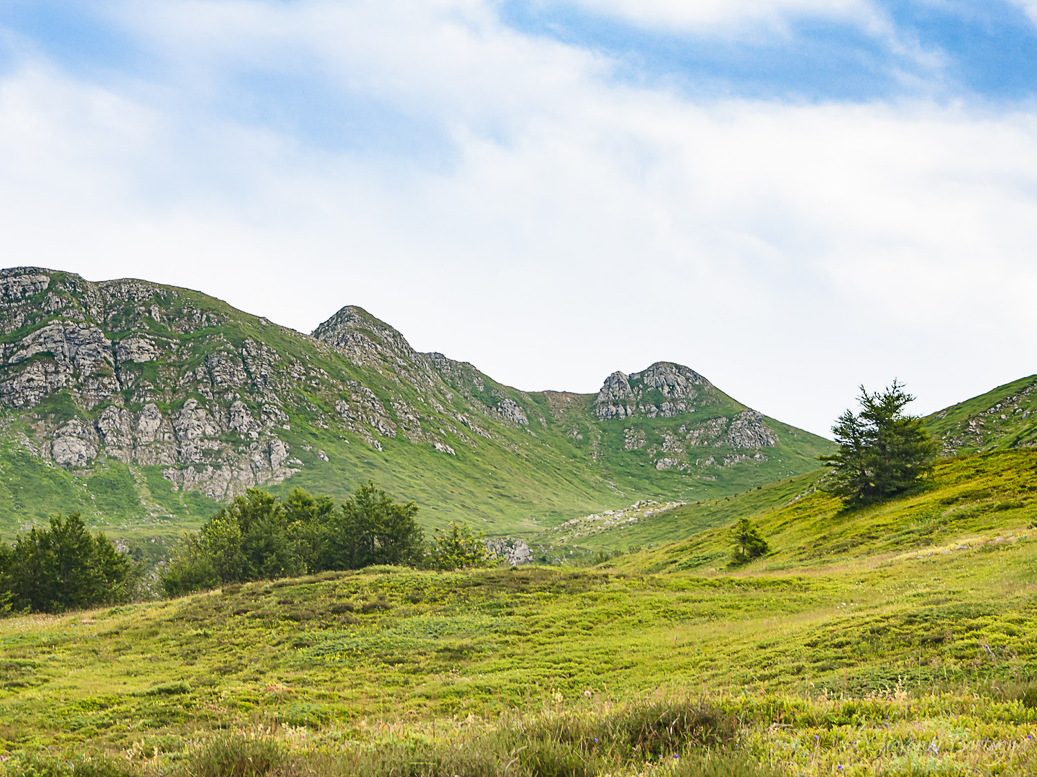 Olympus PEN E-PL5 sample photo. Panorama - libro aperto photography