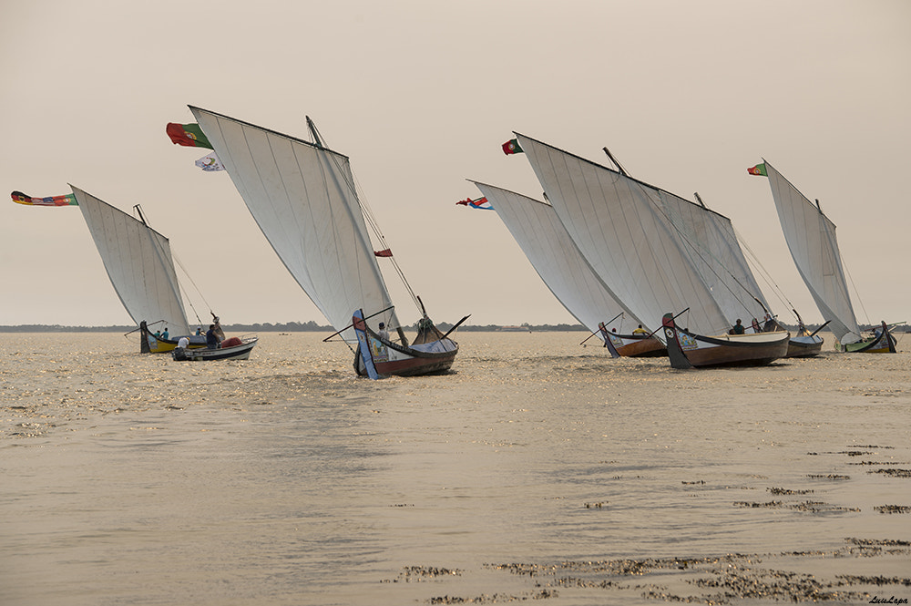 Nikon D600 sample photo. Copy photography