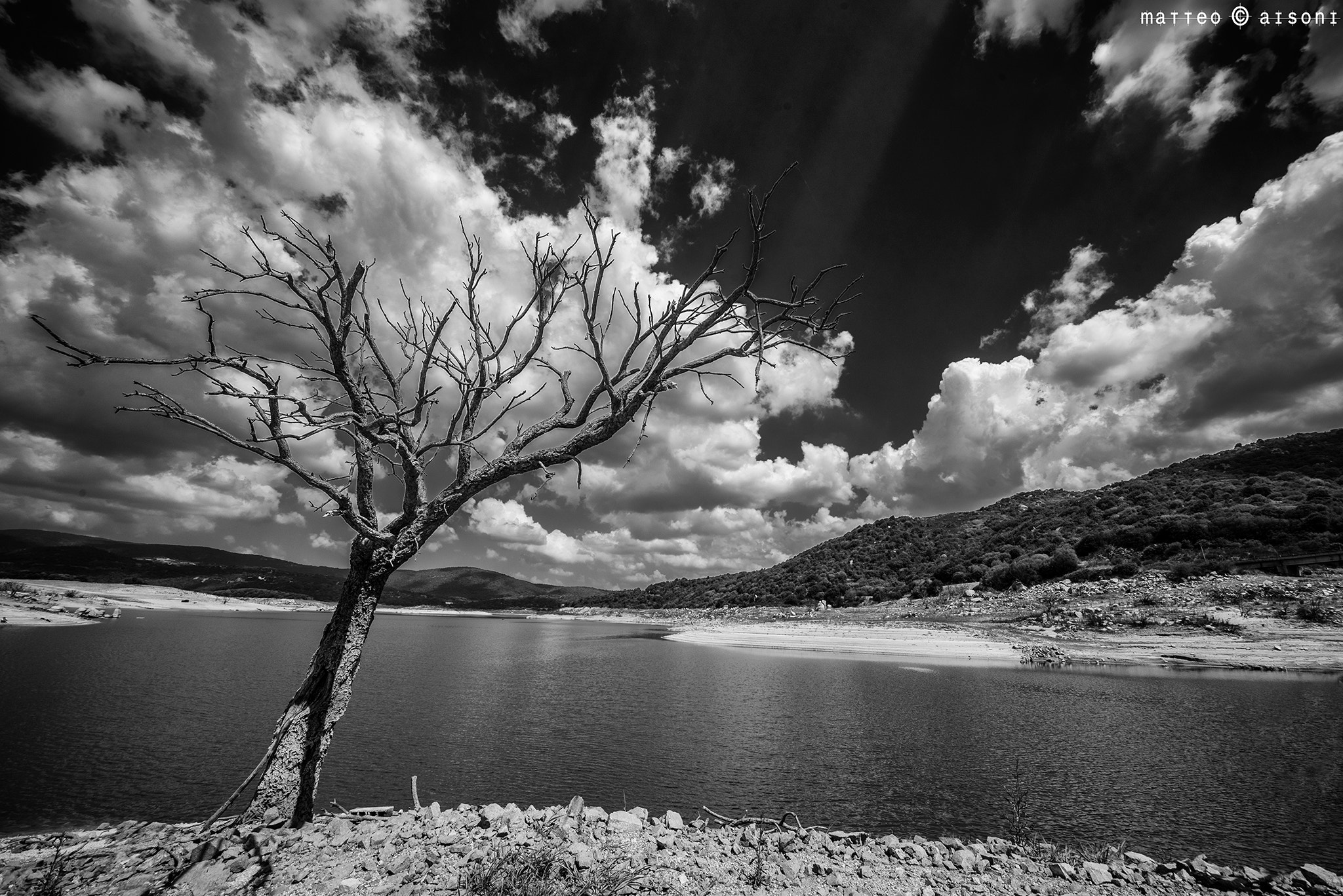 Sigma 12-24mm F4.5-5.6 EX DG Aspherical HSM sample photo. Tree and lake photography