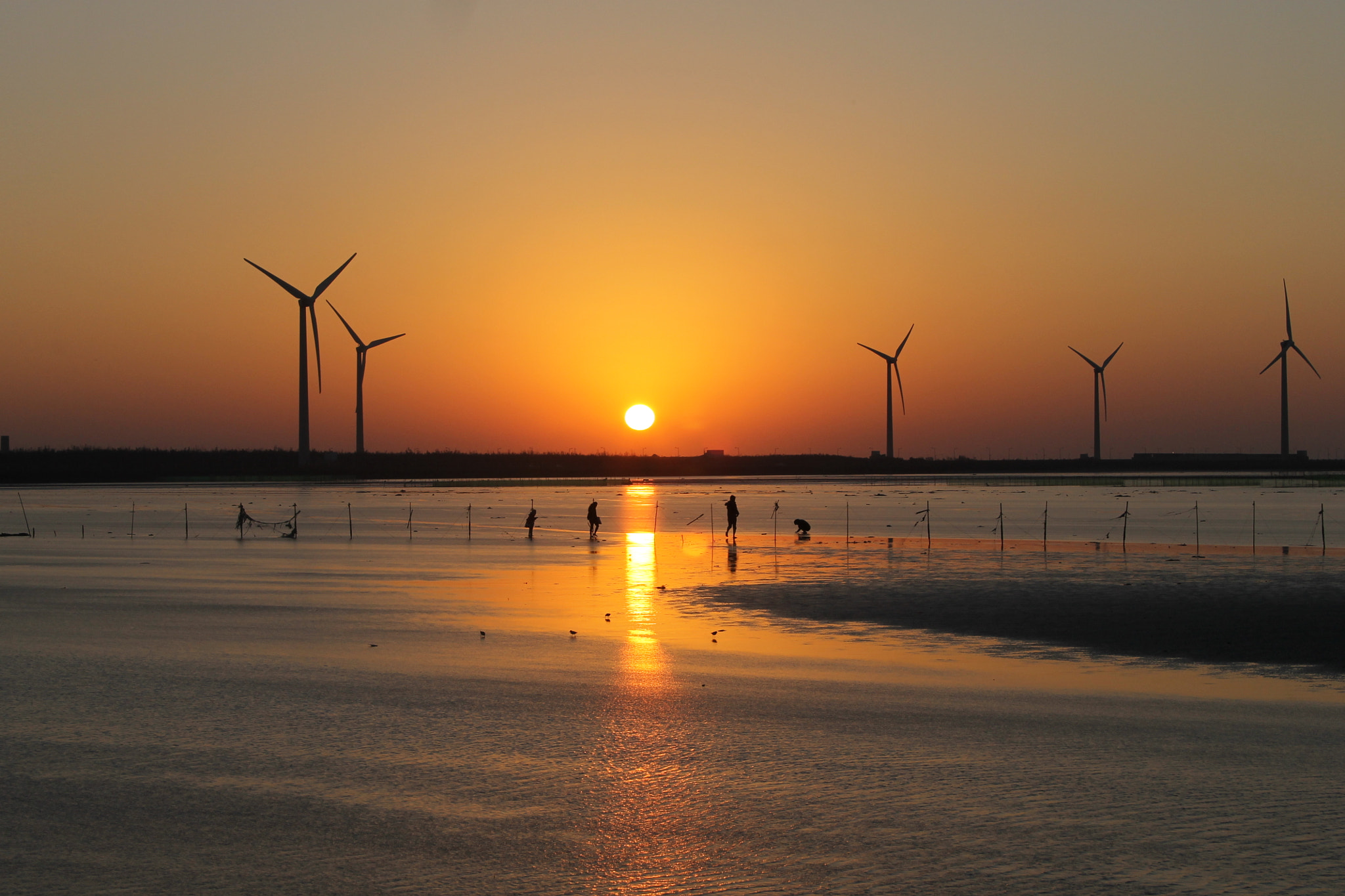 Canon EF-S 18-55mm F3.5-5.6 II sample photo. 臺中，高美濕地 夕陽 photography