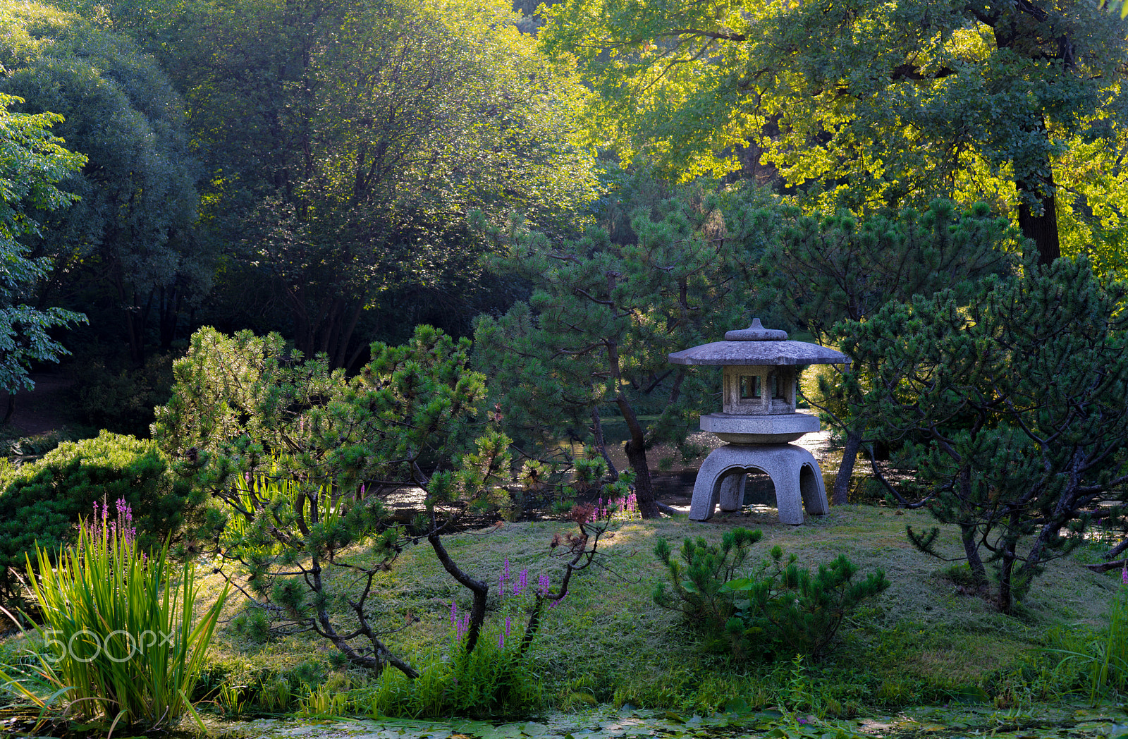 Sony a7R II + Sony 50mm F1.4 sample photo. Japanese garden photography