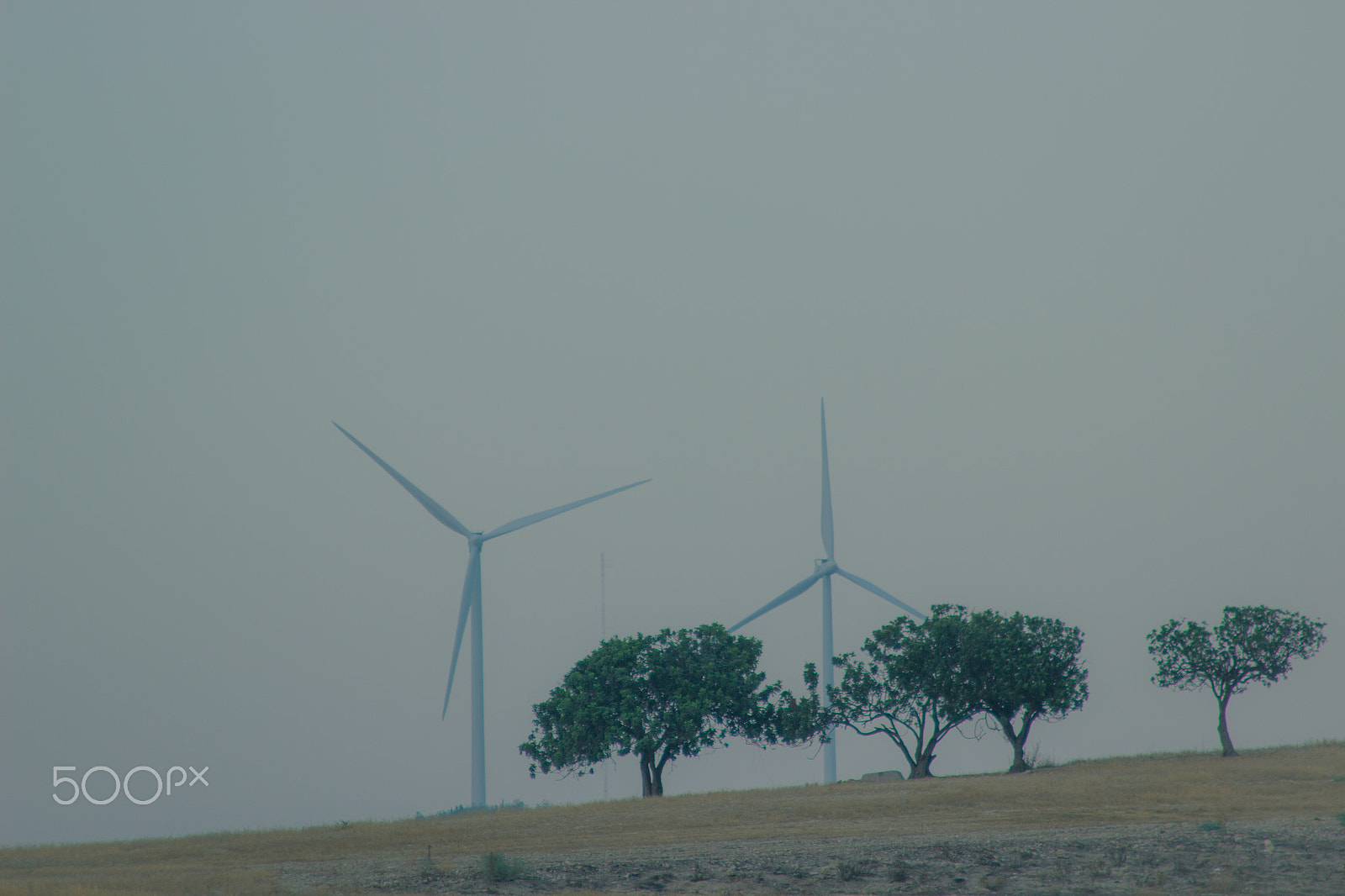 Canon EF 28-135mm F3.5-5.6 IS USM sample photo. Wind-turbines in the mist photography