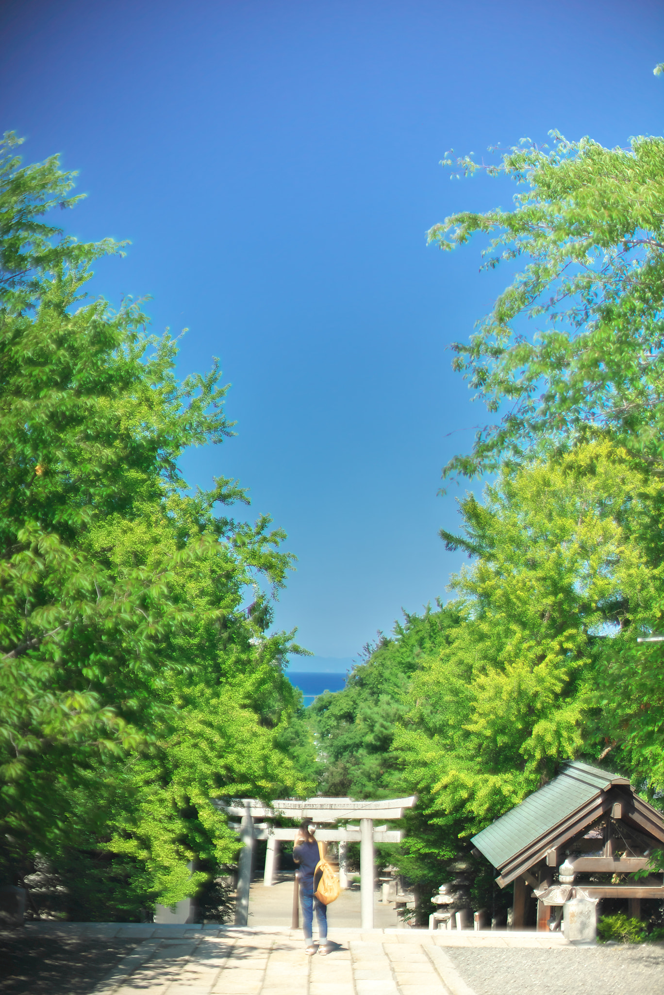 Sony a7S sample photo. Summer at sumiyoshi shrine photography