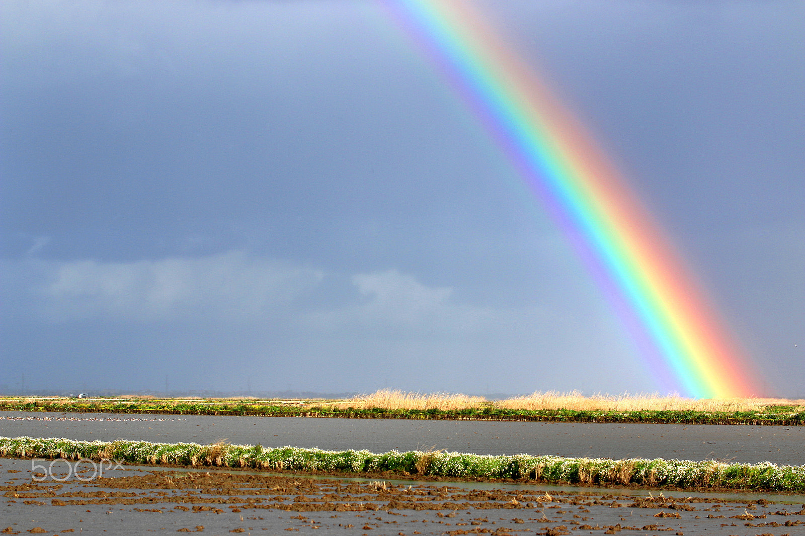 Canon EF 70-200mm F2.8L IS II USM sample photo. Raimbow 2 photography