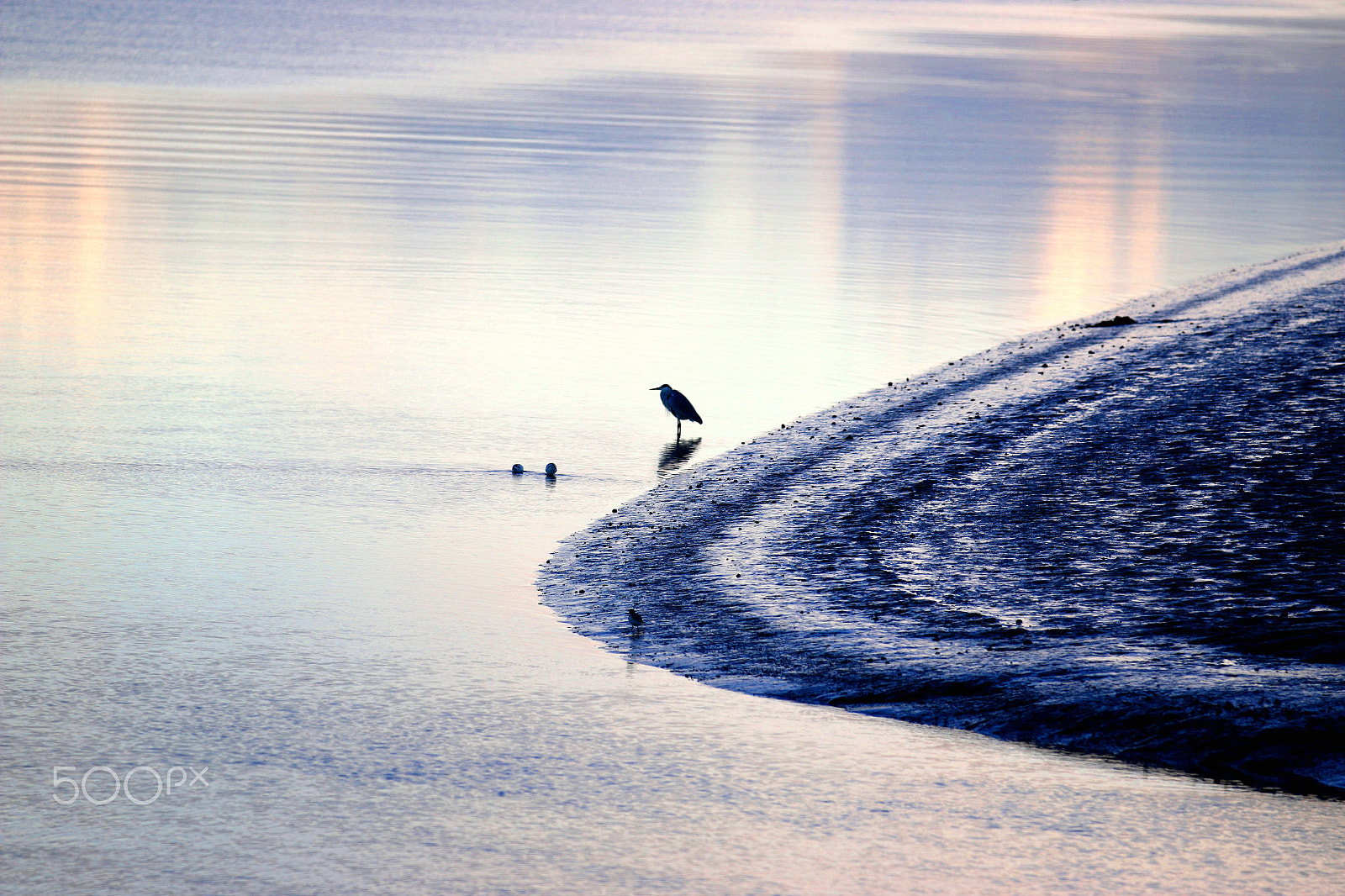 Canon EF 70-200mm F2.8L IS II USM sample photo. Alone 2 photography