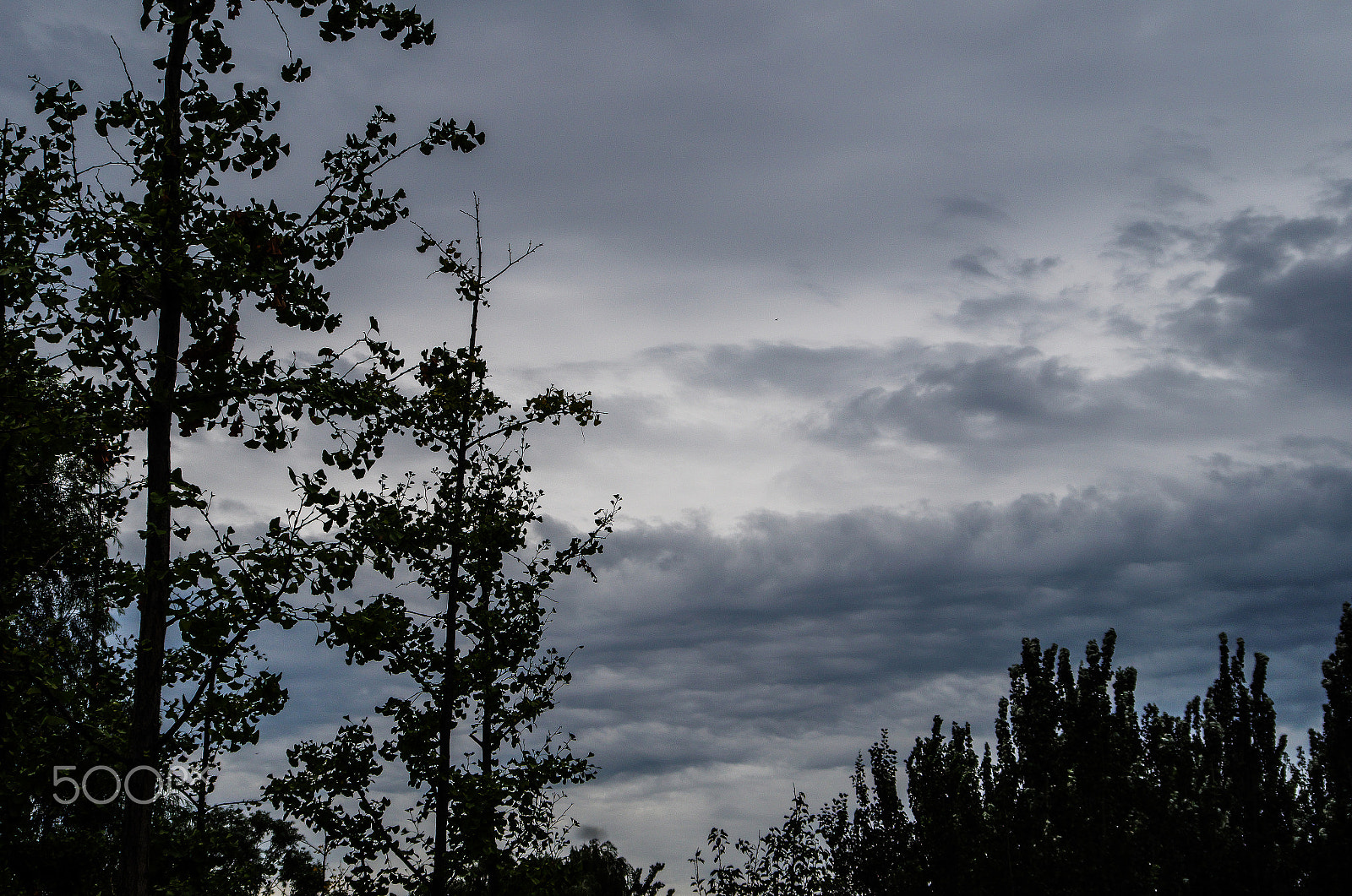 Pentax K-30 sample photo. Dismal sky photography