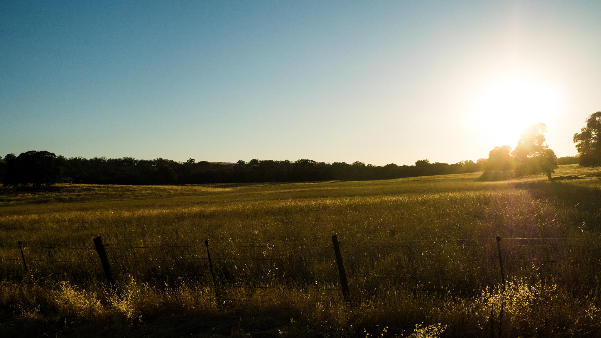 Panasonic Lumix DMC-GX7 + Panasonic Lumix G 20mm F1.7 ASPH sample photo. Old highway photography