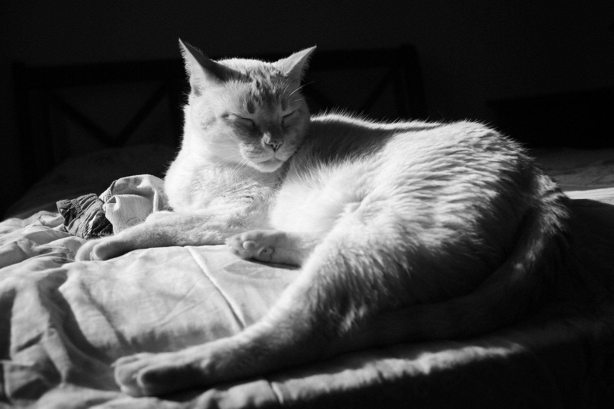 Canon EOS 1000D (EOS Digital Rebel XS / EOS Kiss F) sample photo. Galileu photography