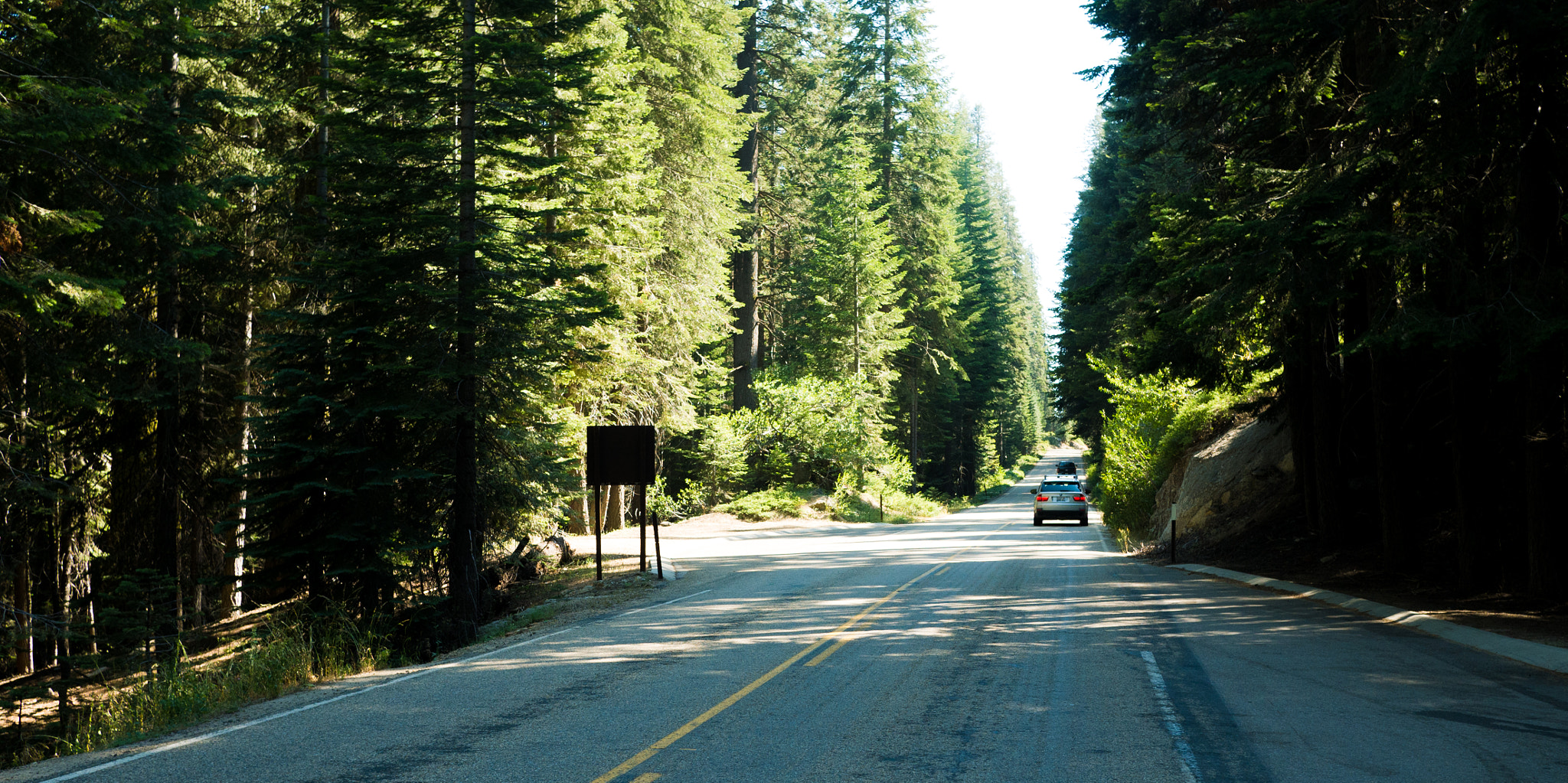 Panasonic Lumix DMC-GX7 + Panasonic Lumix G 20mm F1.7 ASPH sample photo. Sequoia park photography