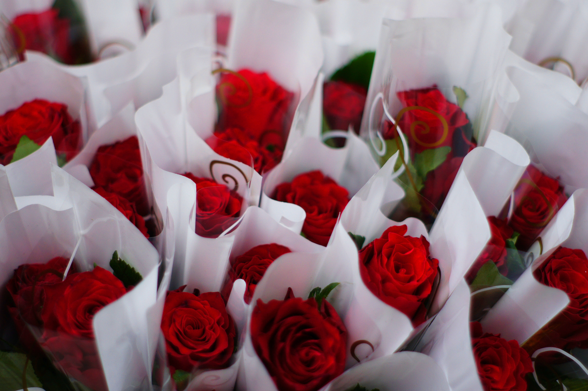Sony Alpha DSLR-A450 sample photo. Vienna (austria) photography