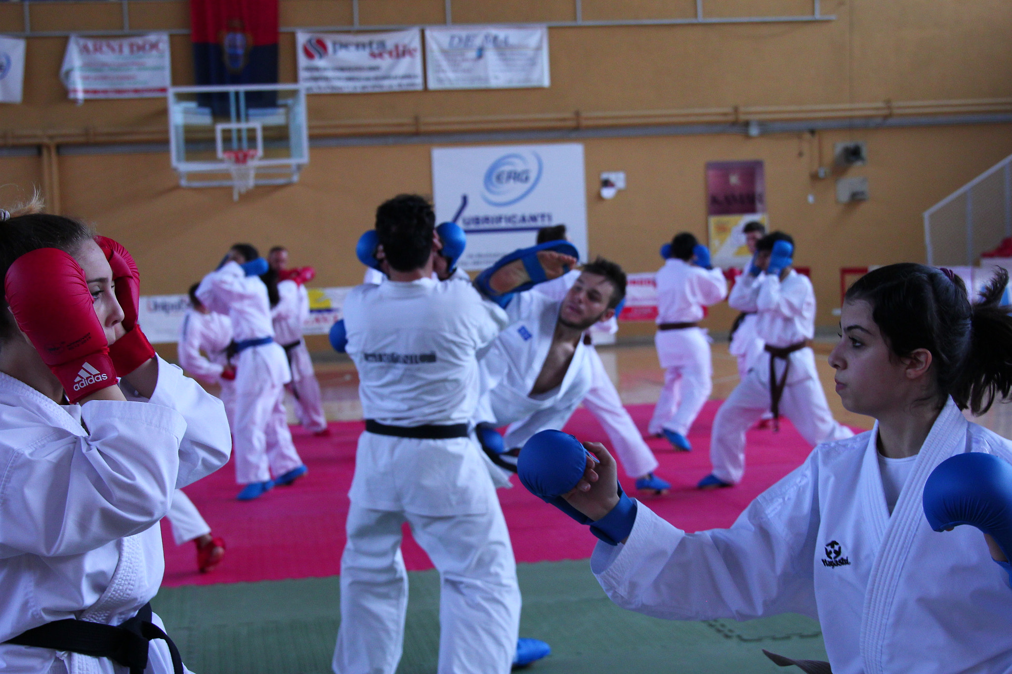 Sigma 24-105mm f/4 DG OS HSM | A sample photo. Training. photography
