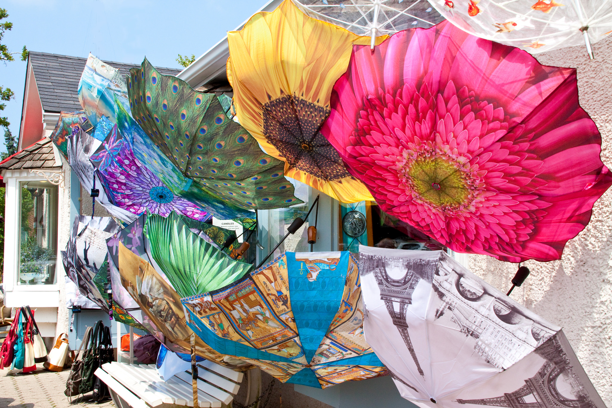 Canon EOS 50D sample photo. Niagra on the lake umbrellas photography