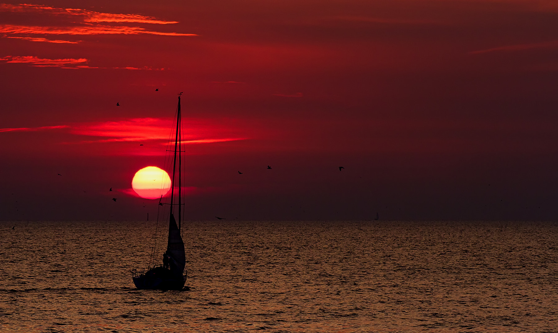 Canon EOS 7D + Sigma 100-300mm f/4 sample photo. Red sunrise sail photography