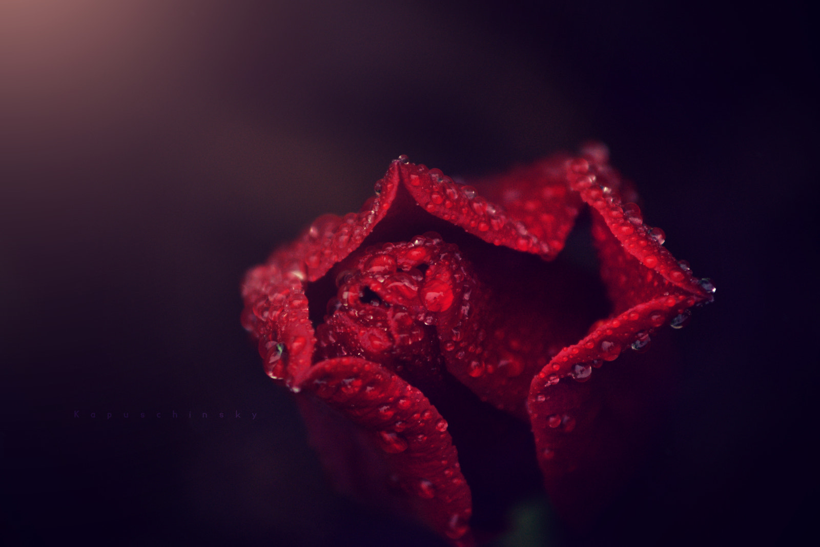 Sony Alpha DSLR-A700 + Minolta AF 70-210mm F4 Macro sample photo. Crimson glass photography