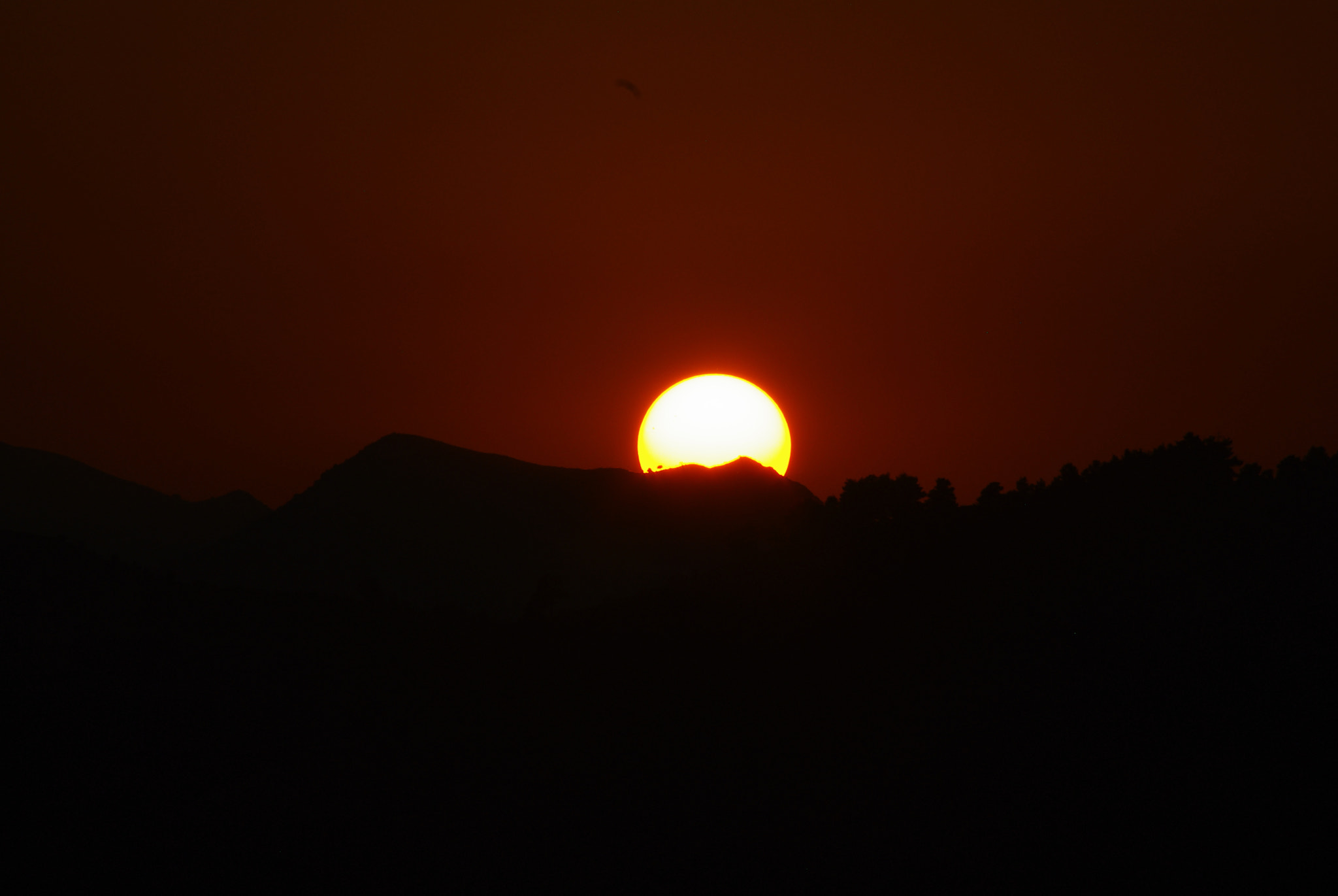 Pentax smc DA 55-300mm F4.0-5.8 ED sample photo. 28849703272.jpg photography