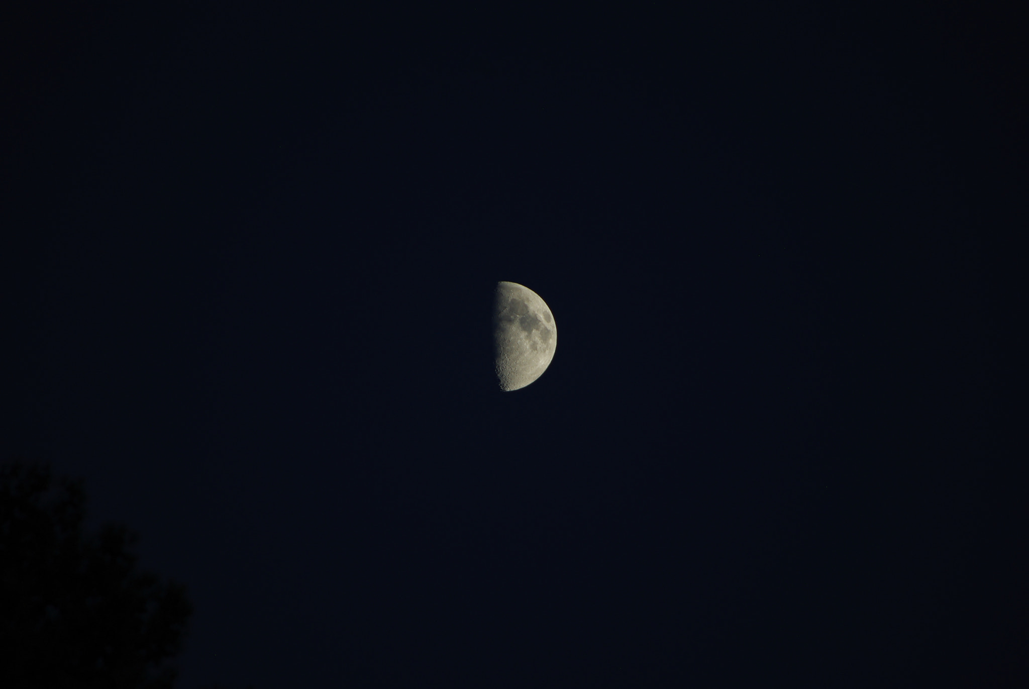 Pentax smc DA 55-300mm F4.0-5.8 ED sample photo. 28954448455.jpg photography