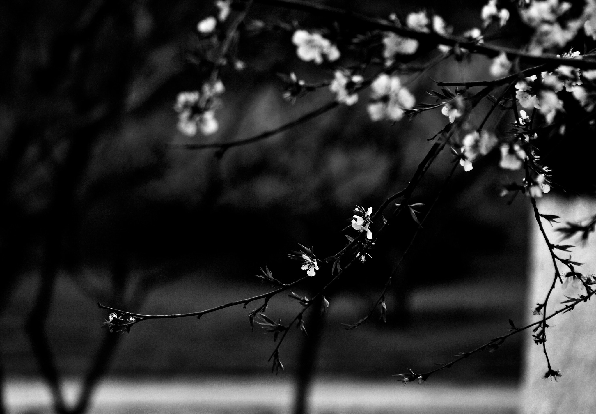 Olympus Zuiko Digital ED 70-300mm F4.0-5.6 sample photo. Untitled photography