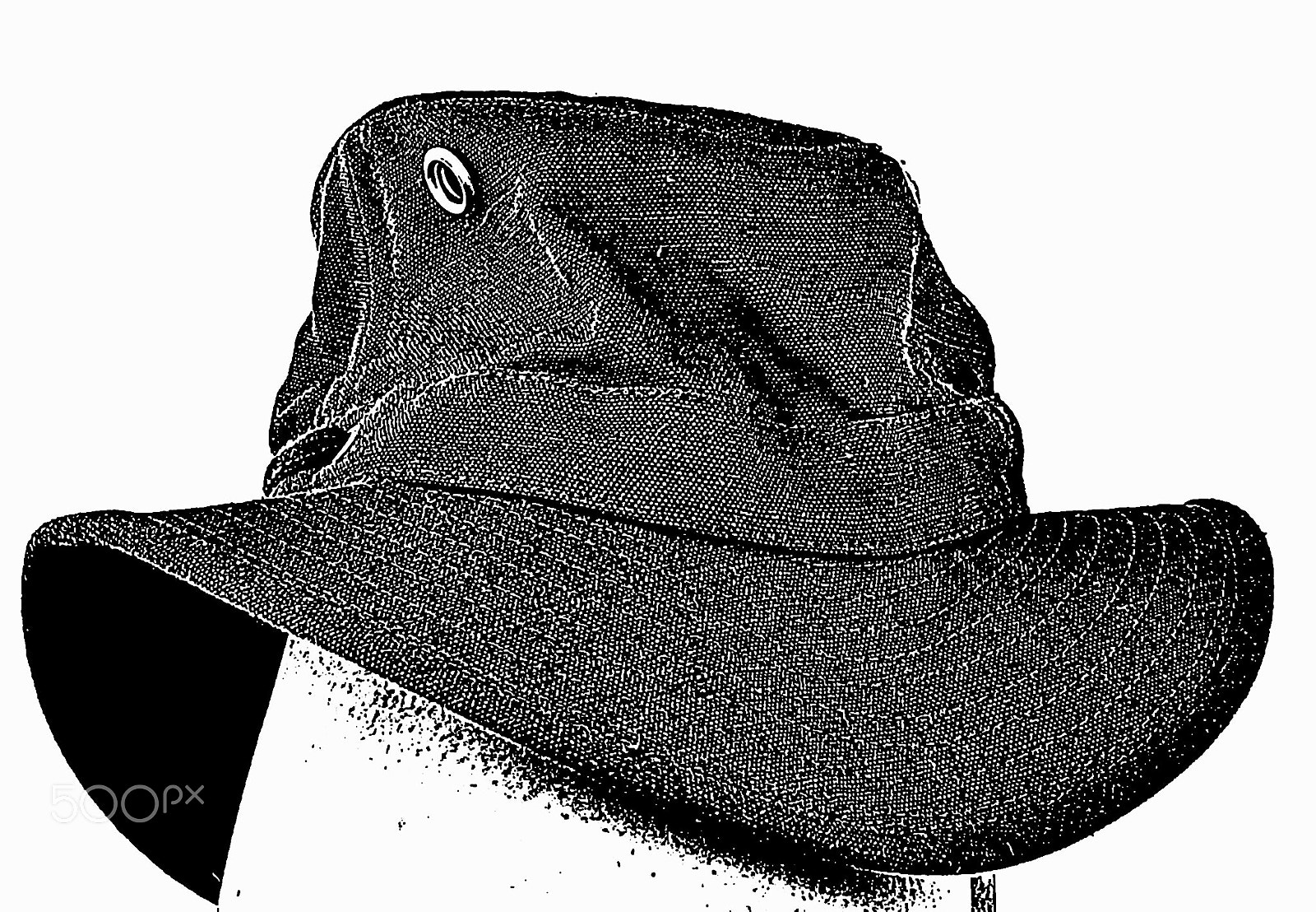 Sony DT 18-250mm F3.5-6.3 sample photo. The hat ! photography