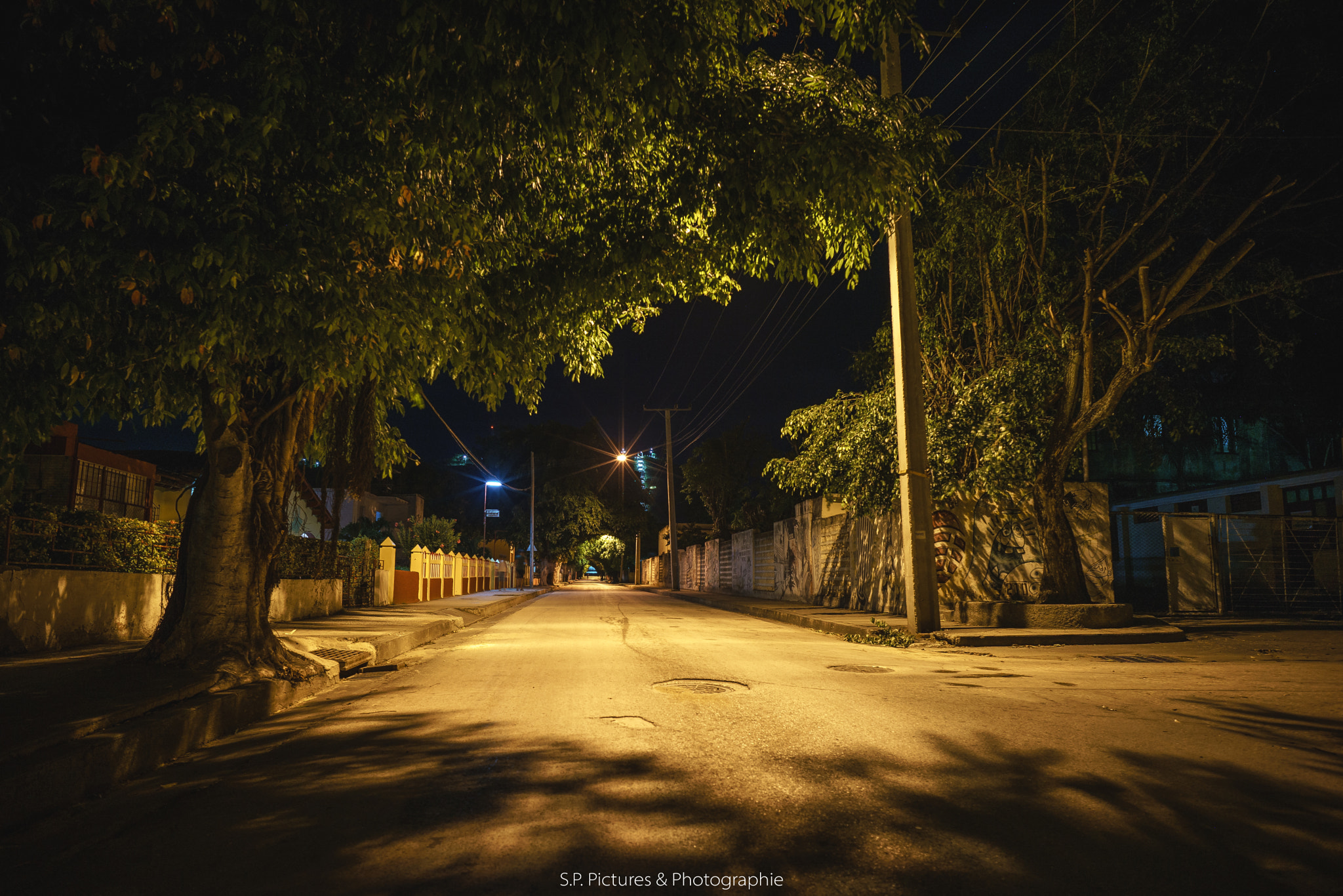 E 21mm F2.8 sample photo. Trees in night light photography