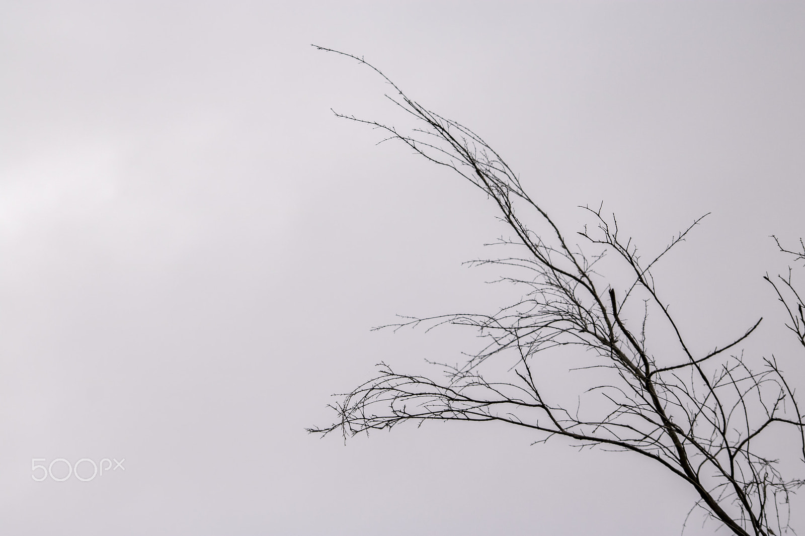 Canon EOS 760D (EOS Rebel T6s / EOS 8000D) sample photo