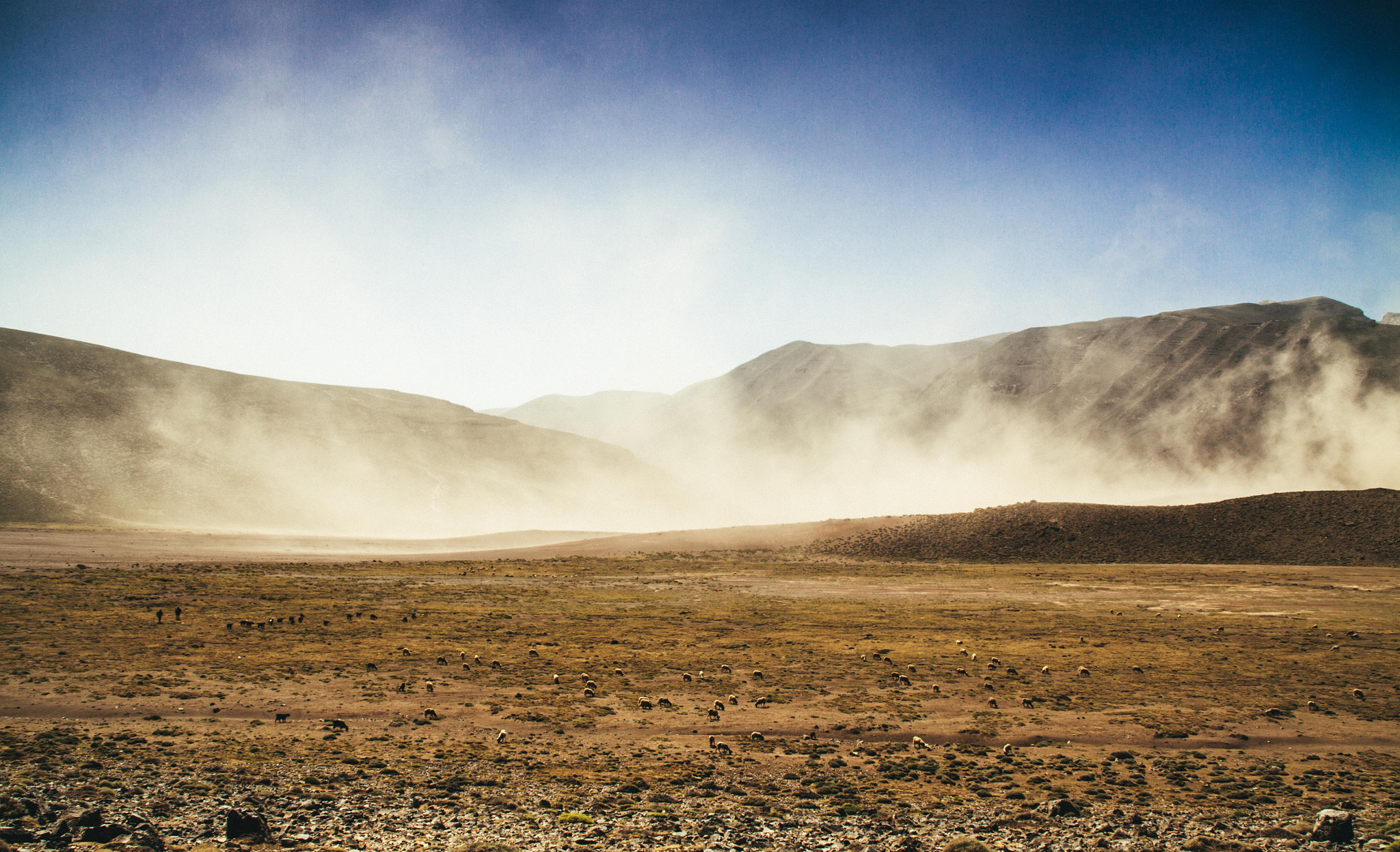 Canon EOS 50D sample photo. Drought photography